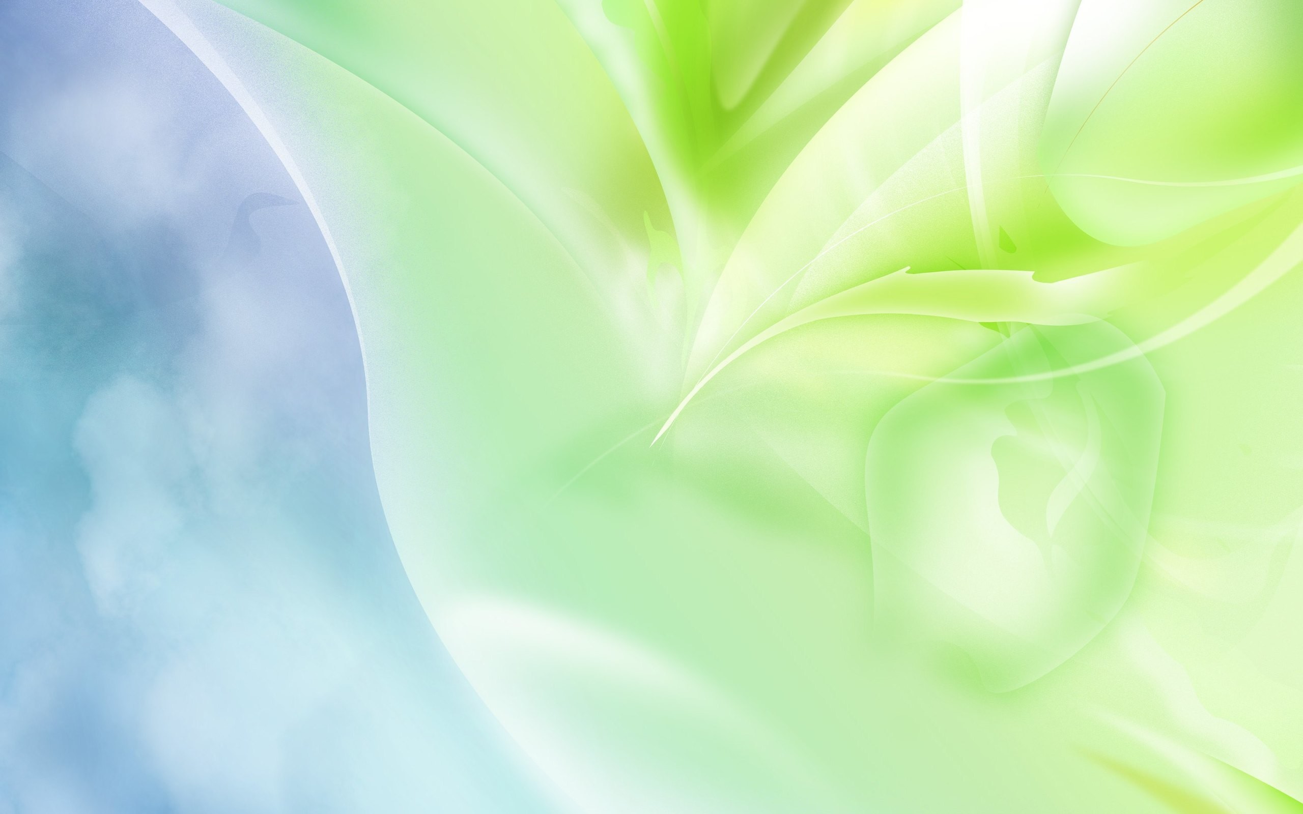 Astratto, Forme fluide, Verde chiaro, Azzurro, 2560x1600, sfondo per PC