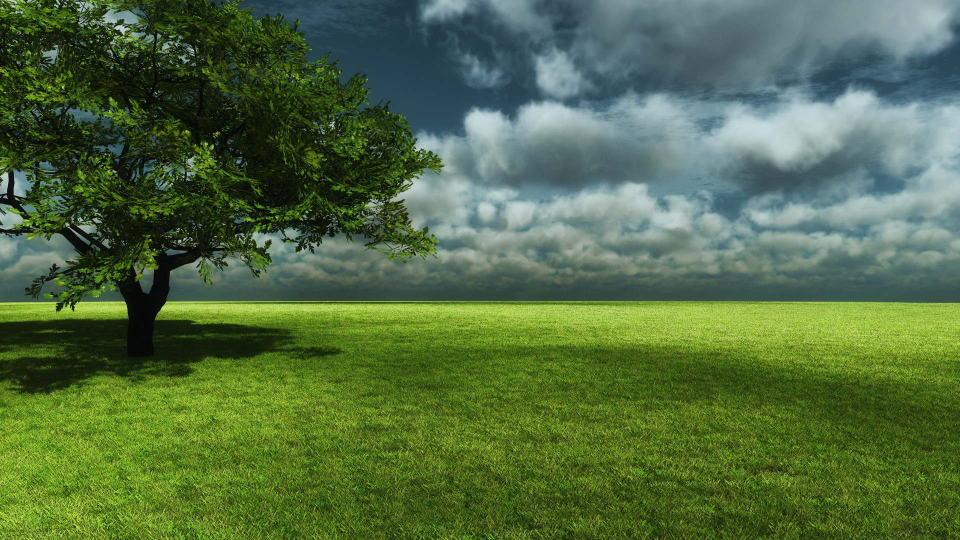 Albero, Prato verde, Nuvole, Cielo grigio, Full HD, sfondo per PC
