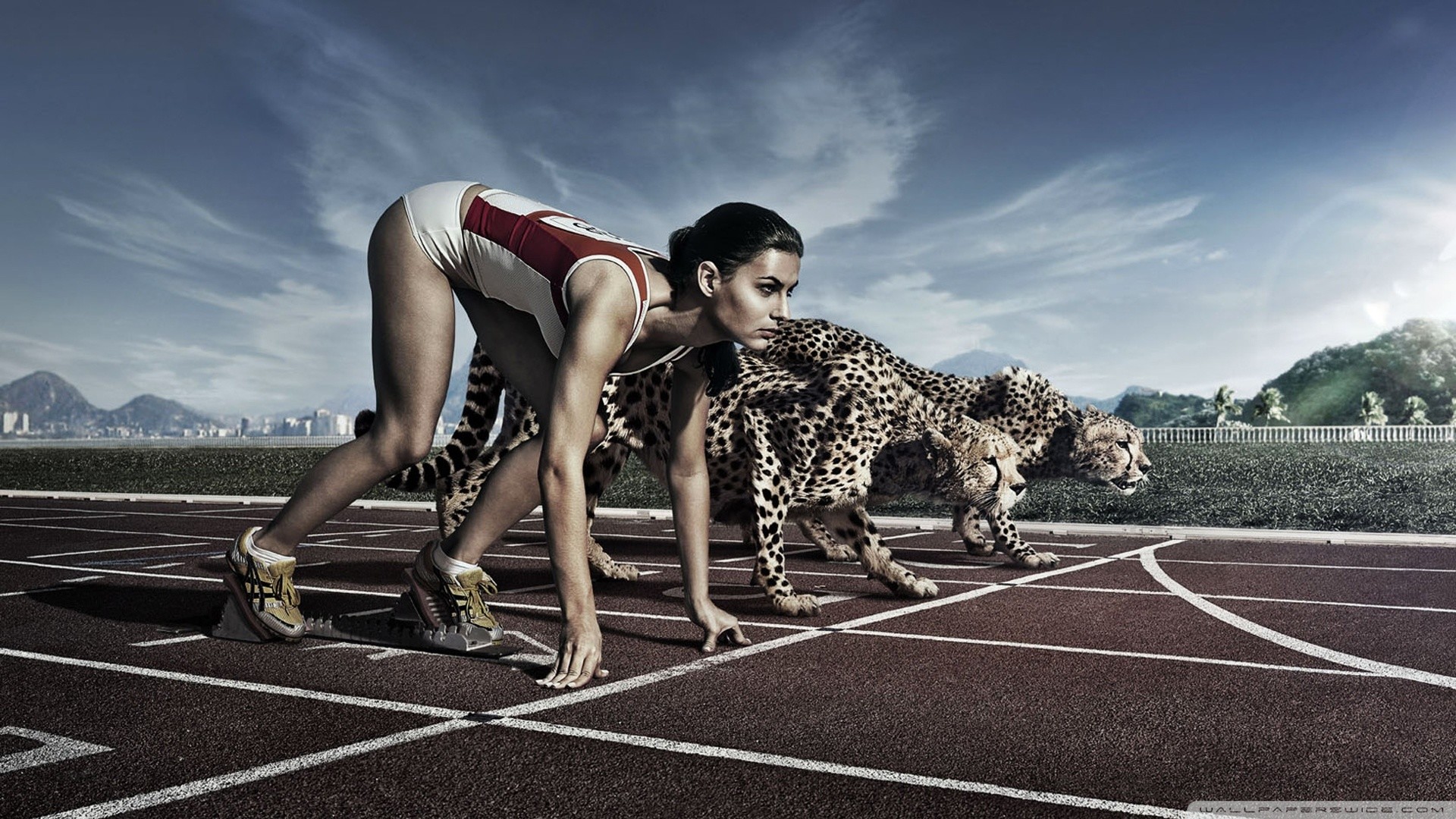 Velocista, Ghepardi, Pista di atletica, Fotomontaggio, Partenza, sfondo desktop 1920x1080