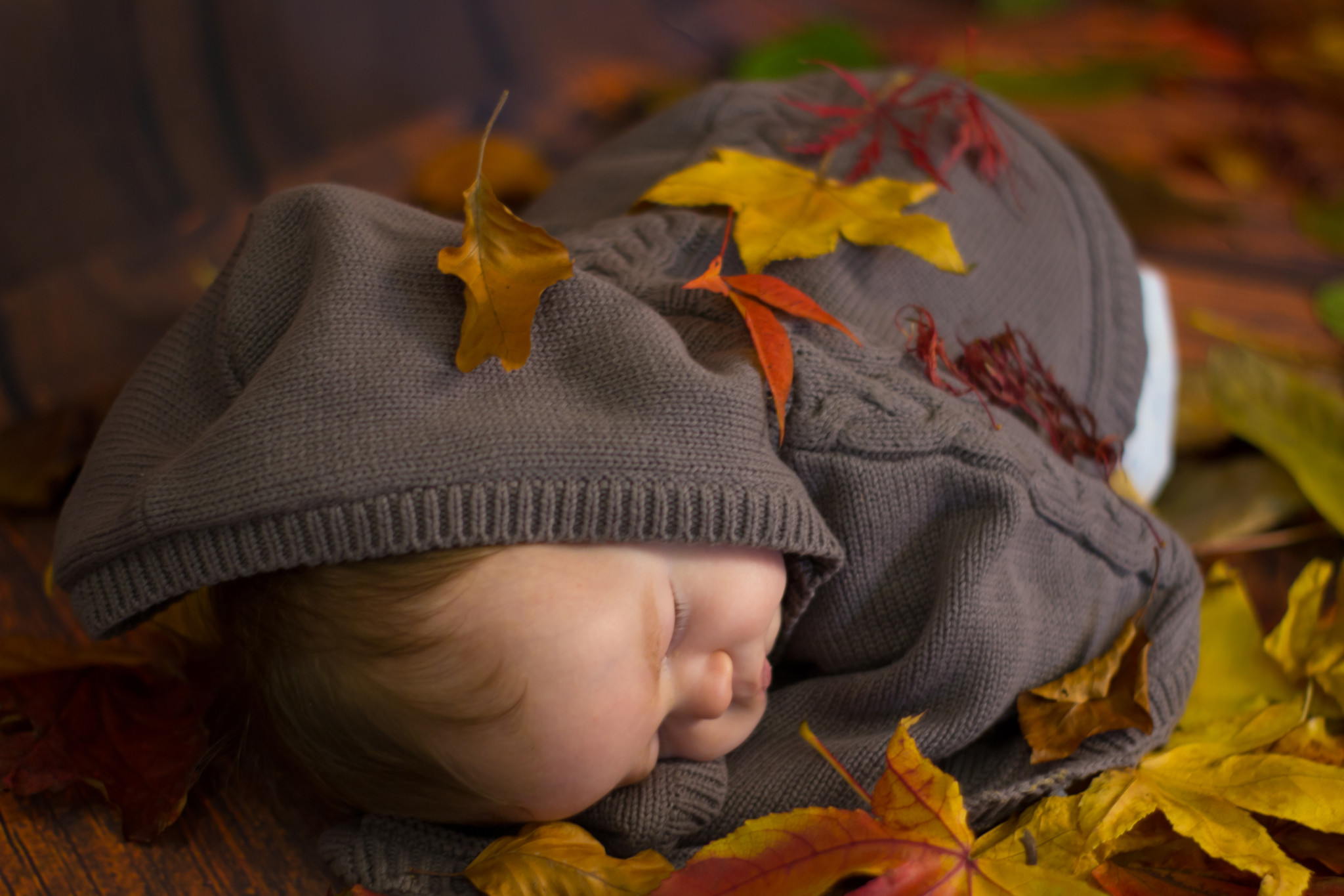 Neonato, Dormire, Foglie autunnali, Berretto, Full HD, sfondo per PC e portatile