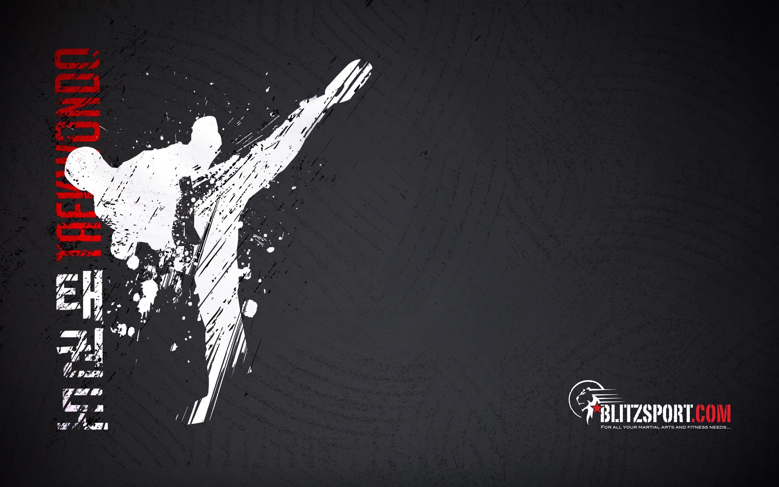 Taekwondo, 태권도, Blitz, Calcio volante, Silhouette, 2560x1600, wallpaper desktop