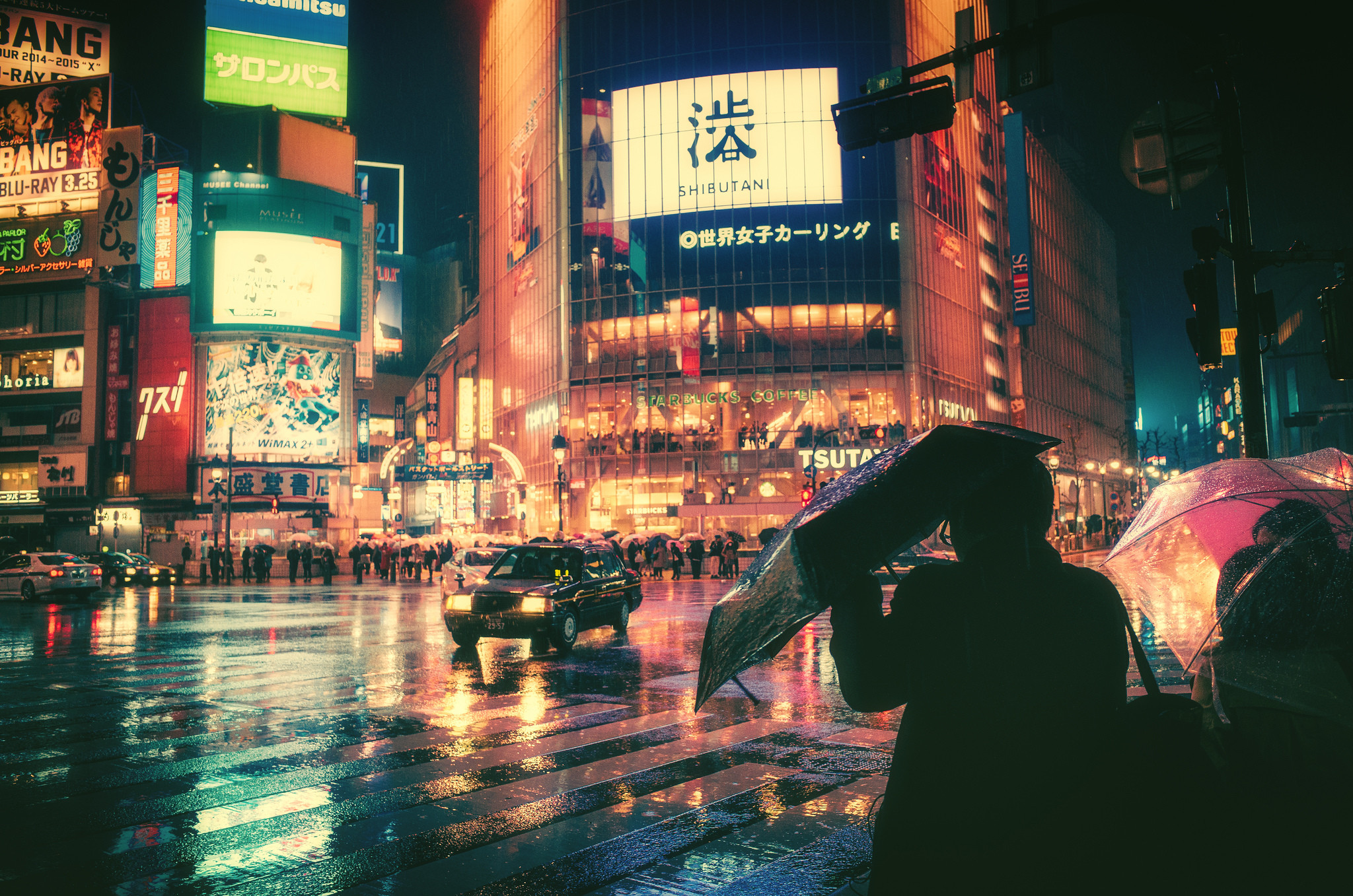 Shibuya, Tokyo, Giappone, Pioggia, Ombrello, Notte, Full HD, sfondo per PC