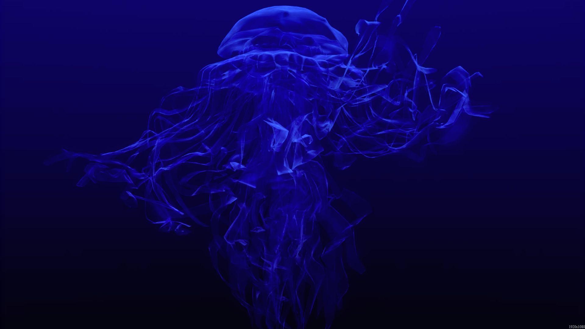 Medusa, Blu scuro, Sott'acqua, Tentacoli, 1920x1080, immagine di sfondo