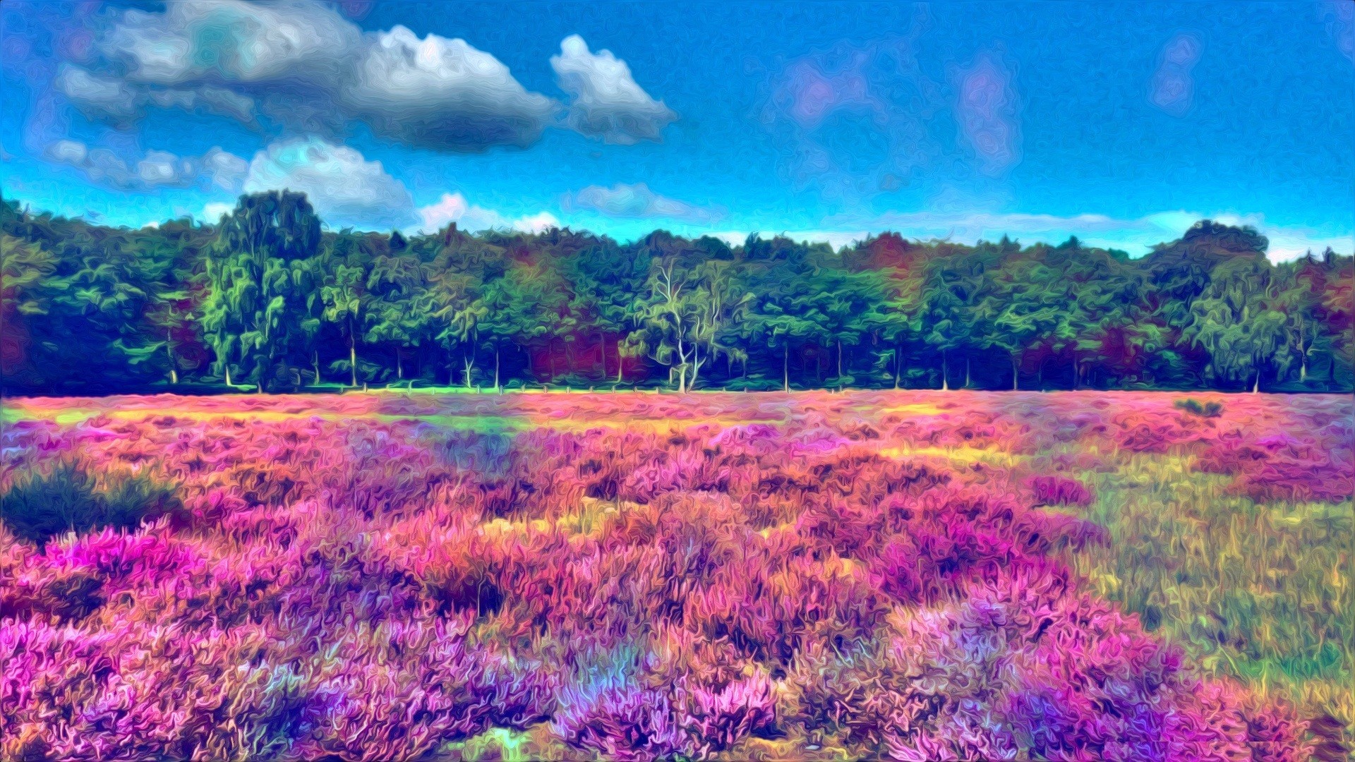 Prato fiorito, Erica, Bosco, Colori saturi, 1920x1080, sfondo per PC
