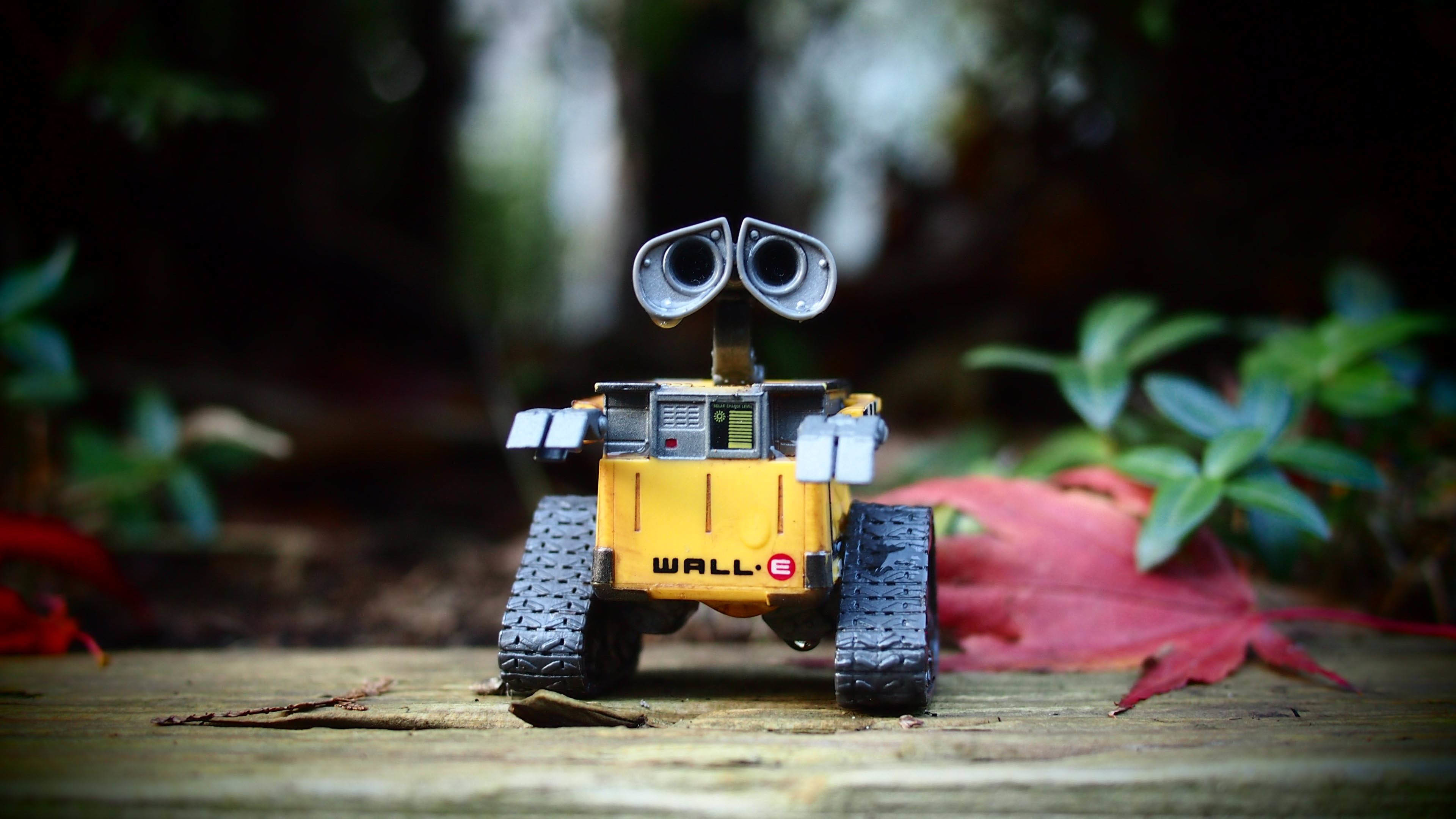 WALL-E, Pixar, Giocattolo, Macro, 4K, wallpaper per computer