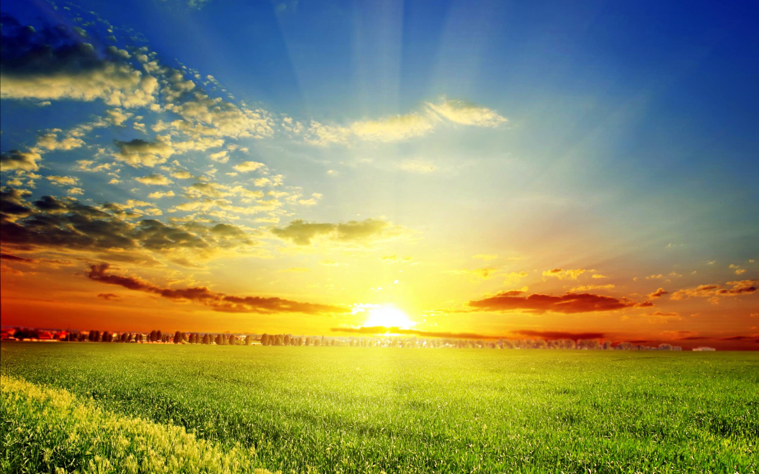 Sole, Tramonto, Campo, Raggi di sole, 2K, sfondo per PC