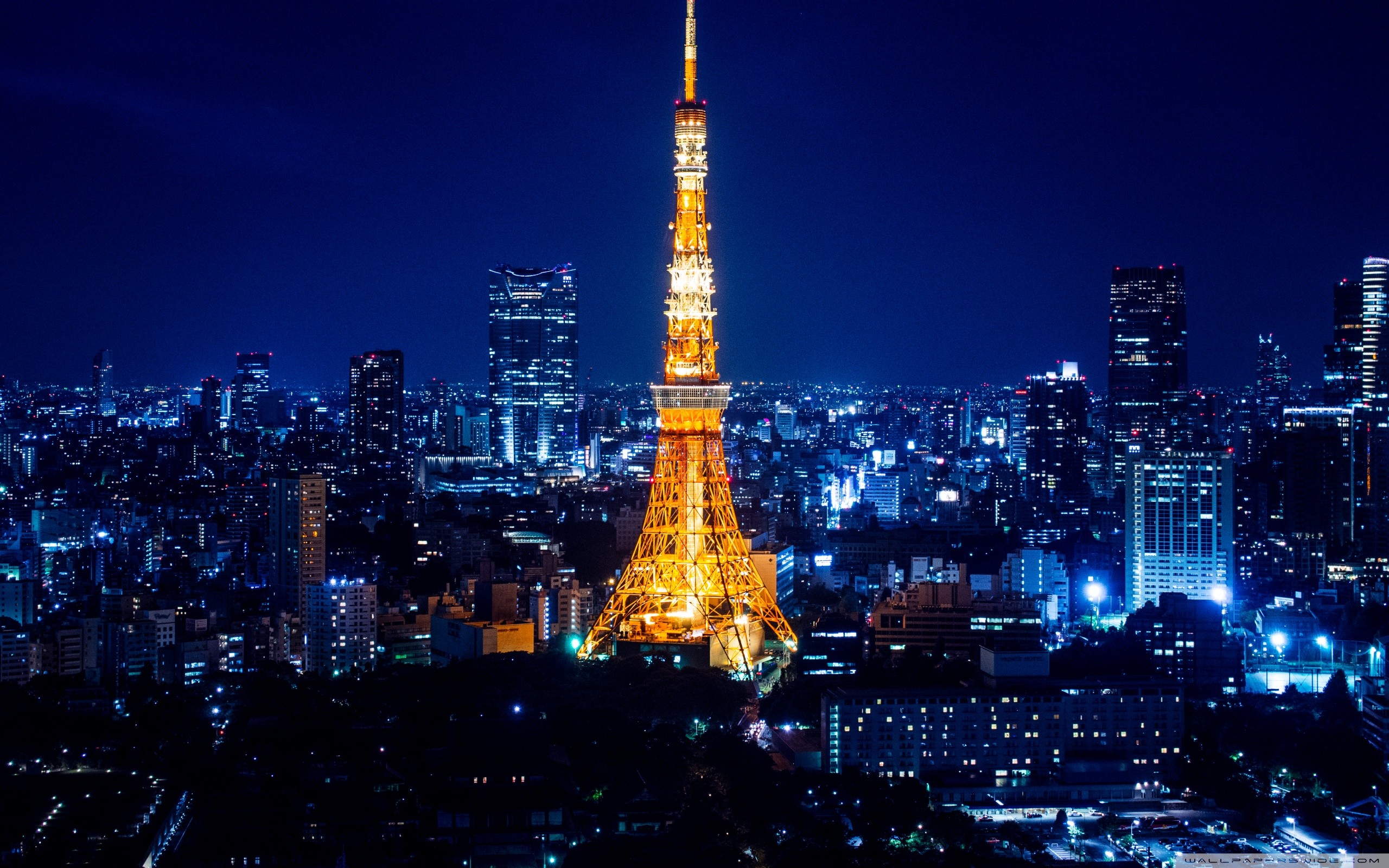 Tokyo Tower, Tokyo, Notte blu, 16:10 2K, sfondo widescreen