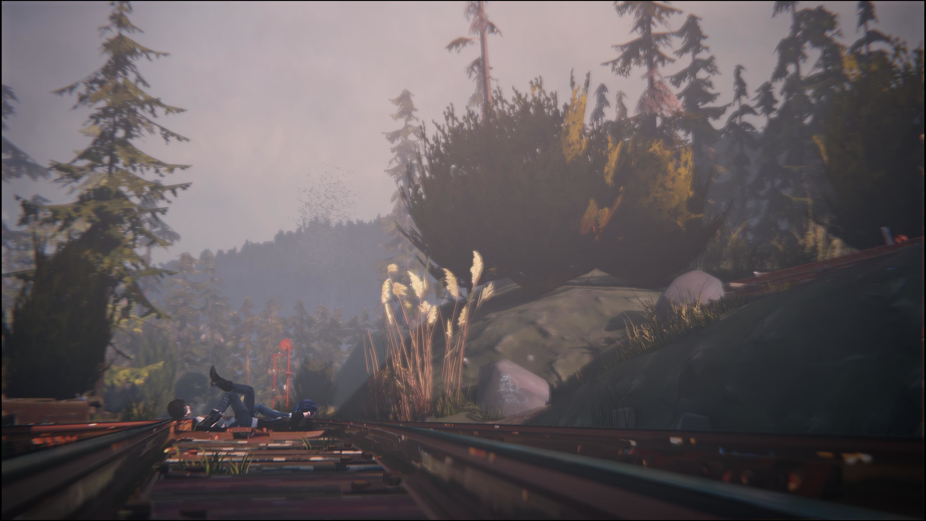 Life is Strange, Binari, Foresta, Nebbia, 4K, sfondo desktop