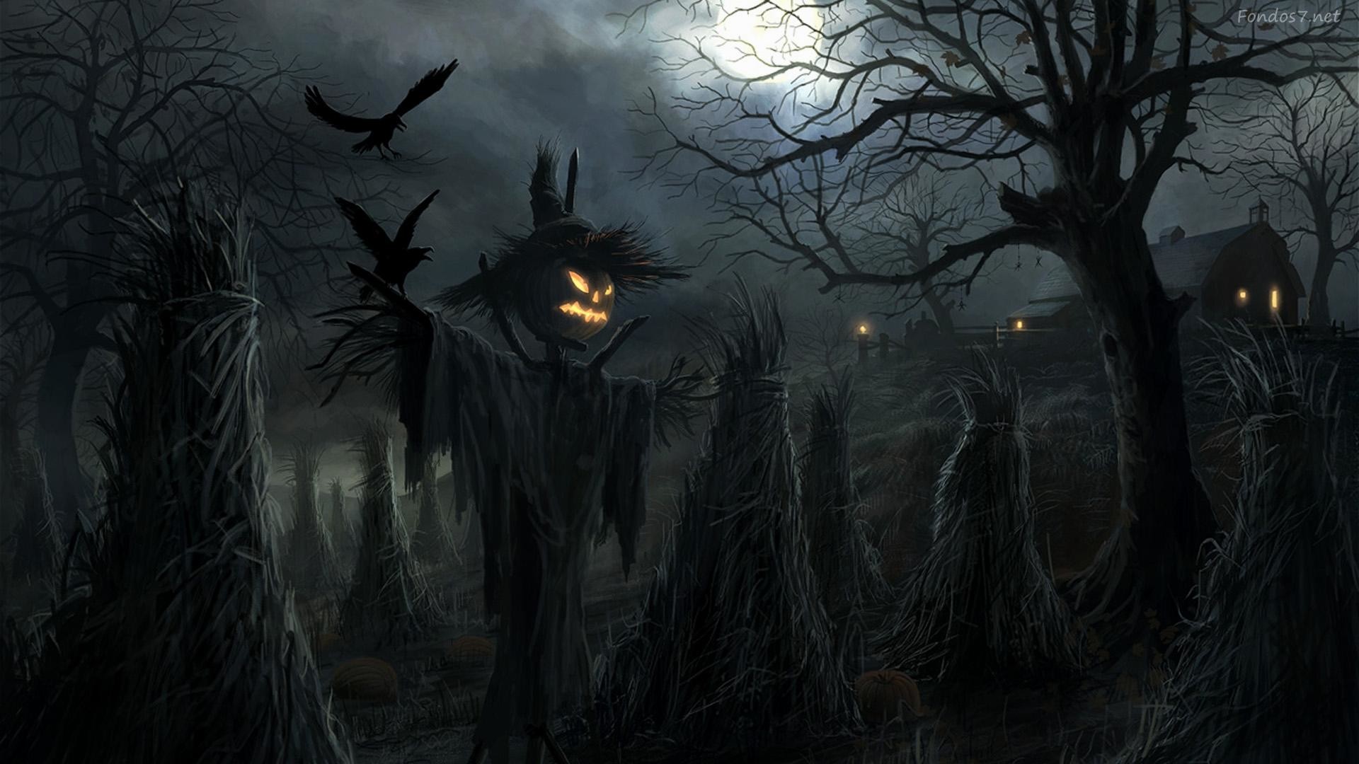 Spaventapasseri, Campo di mais, Corvi, Alberi spogli, Notte, Horror, sfondo Full HD per portatile