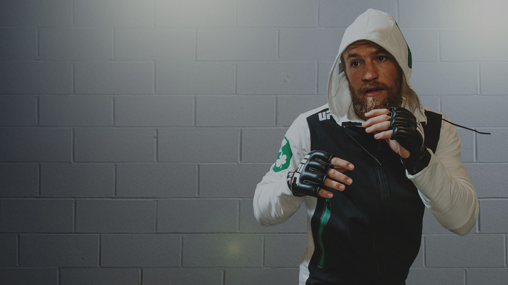 Conor McGregor, Felpa con cappuccio, Guantoni, Muro di mattoni, 1920x1080, sfondo per PC