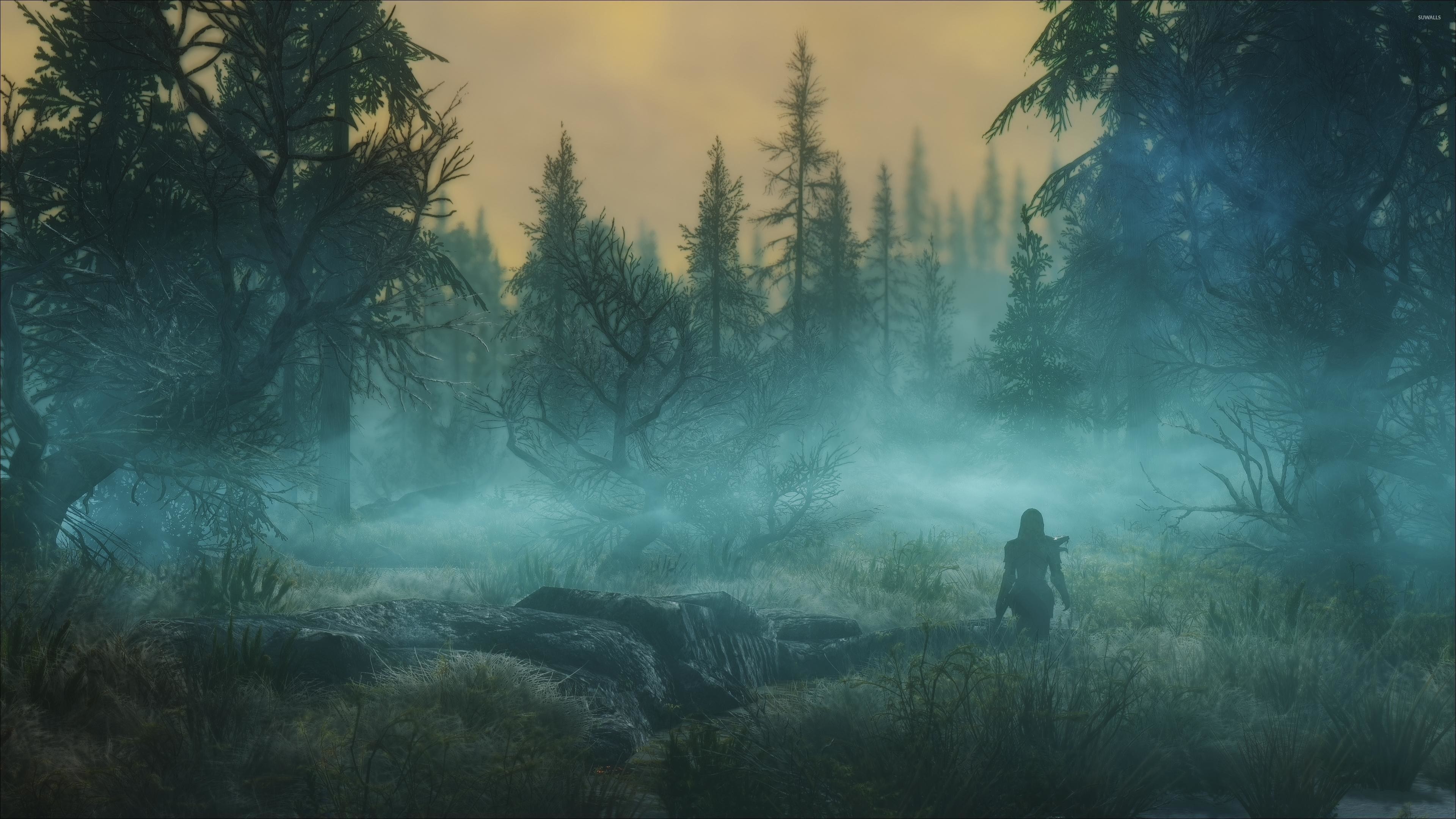The Elder Scrolls V: Skyrim, Foresta, Nebbia, Paesaggio, 4K, sfondo per portatile