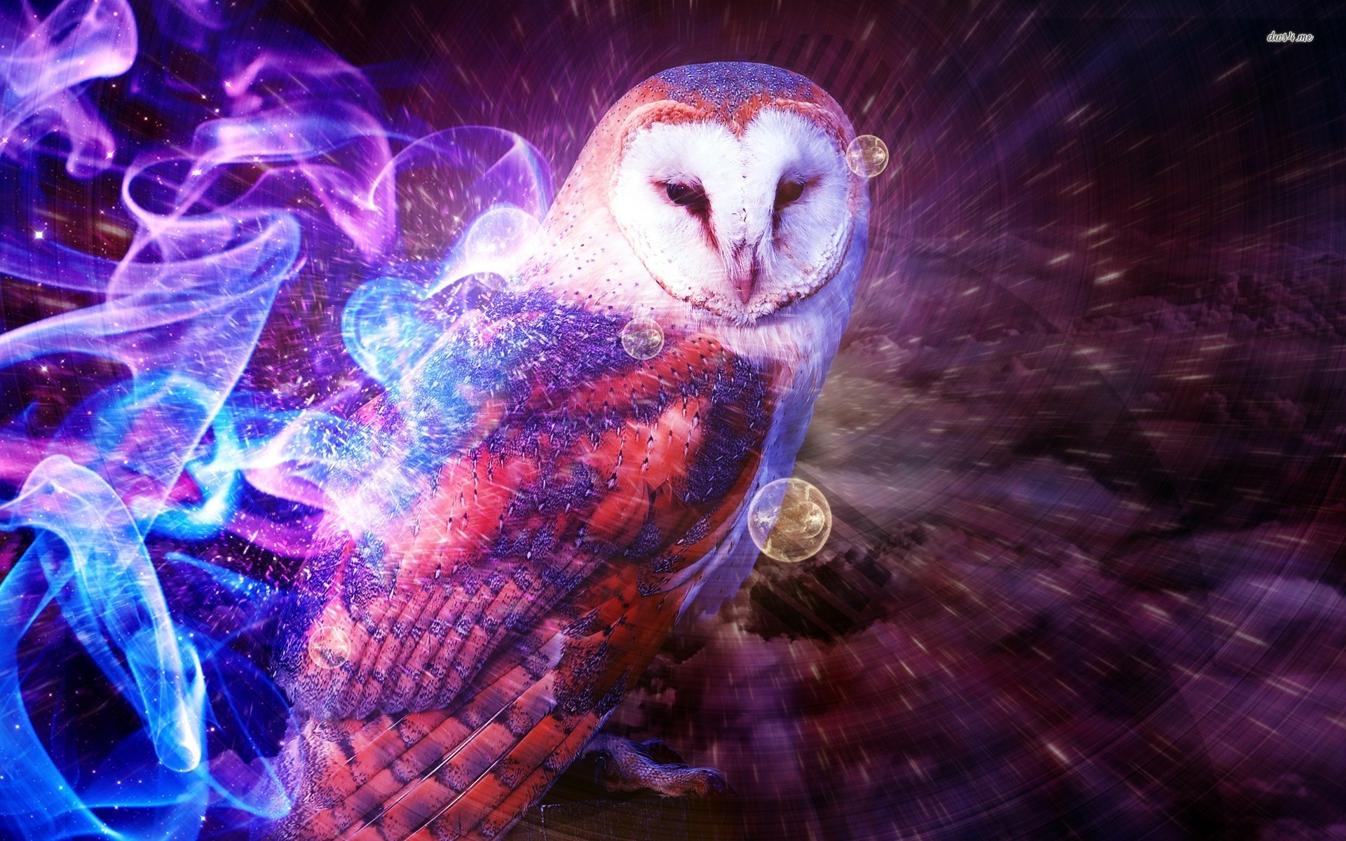 Barbagianni, Arte digitale, Fumo colorato, Viola, Full HD, sfondo per PC
