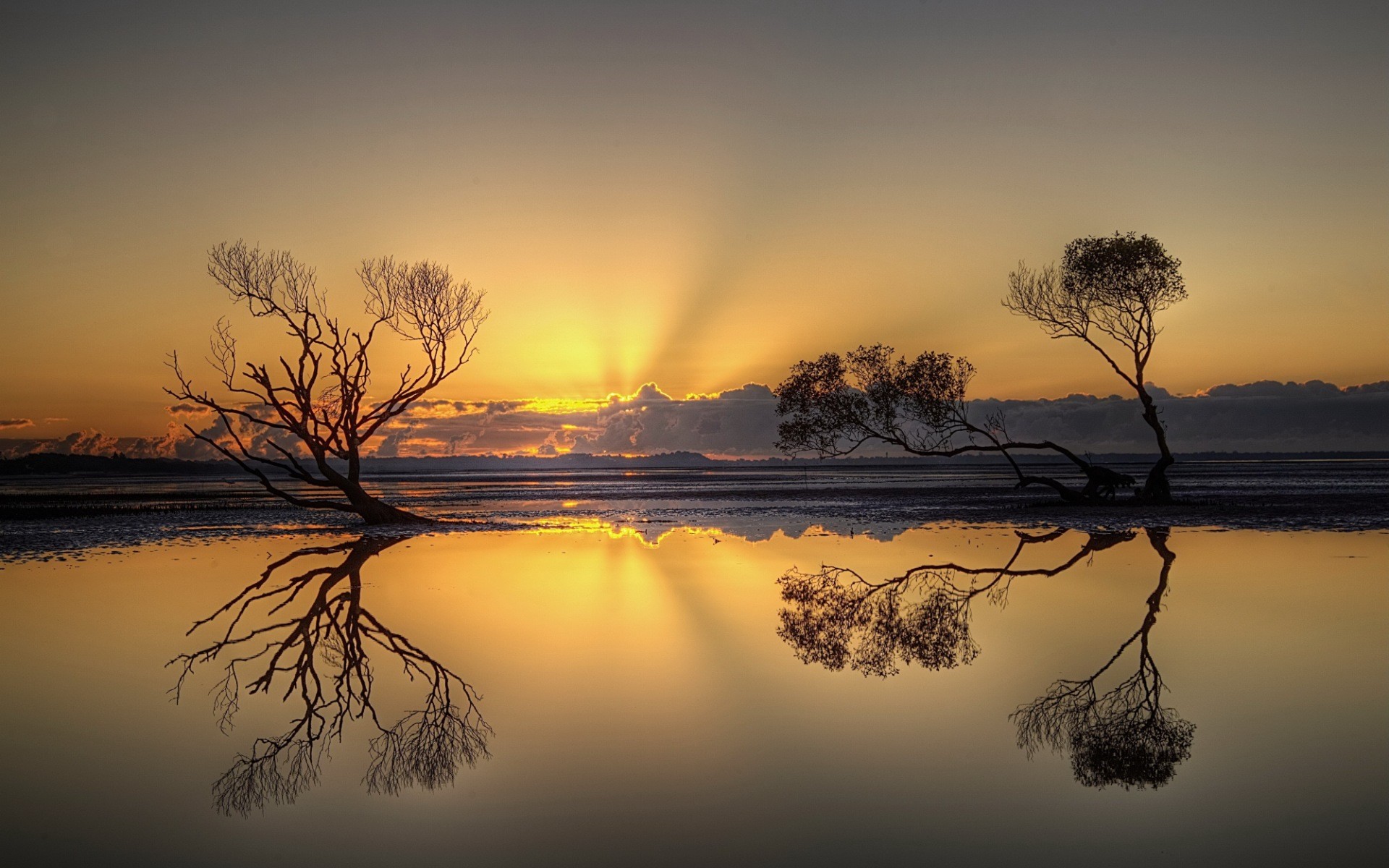 Alberi spogli, Riflesso, Lago, Raggi di sole, Tramonto, Full HD, sfondo per PC e portatile