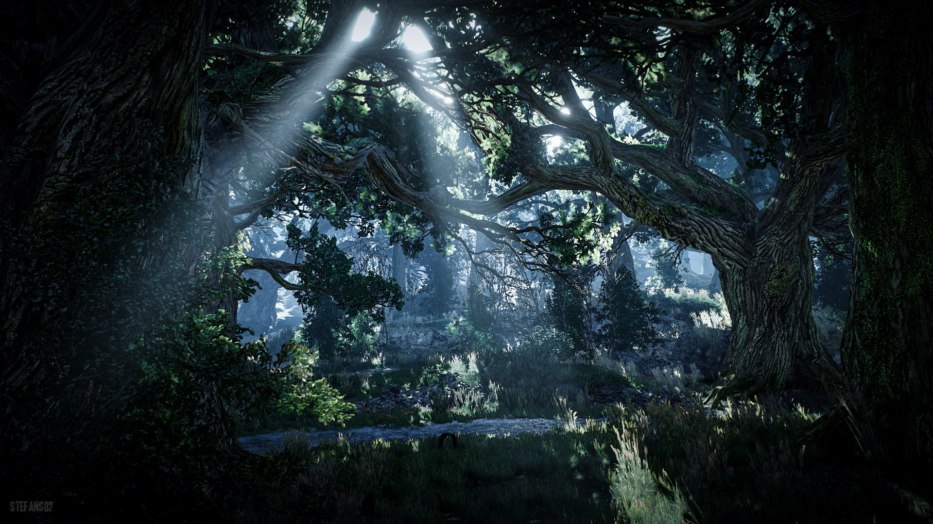 The Witcher 3: Wild Hunt, Foresta, Raggi di luce, Albero, Full HD, sfondo per PC e portatile
