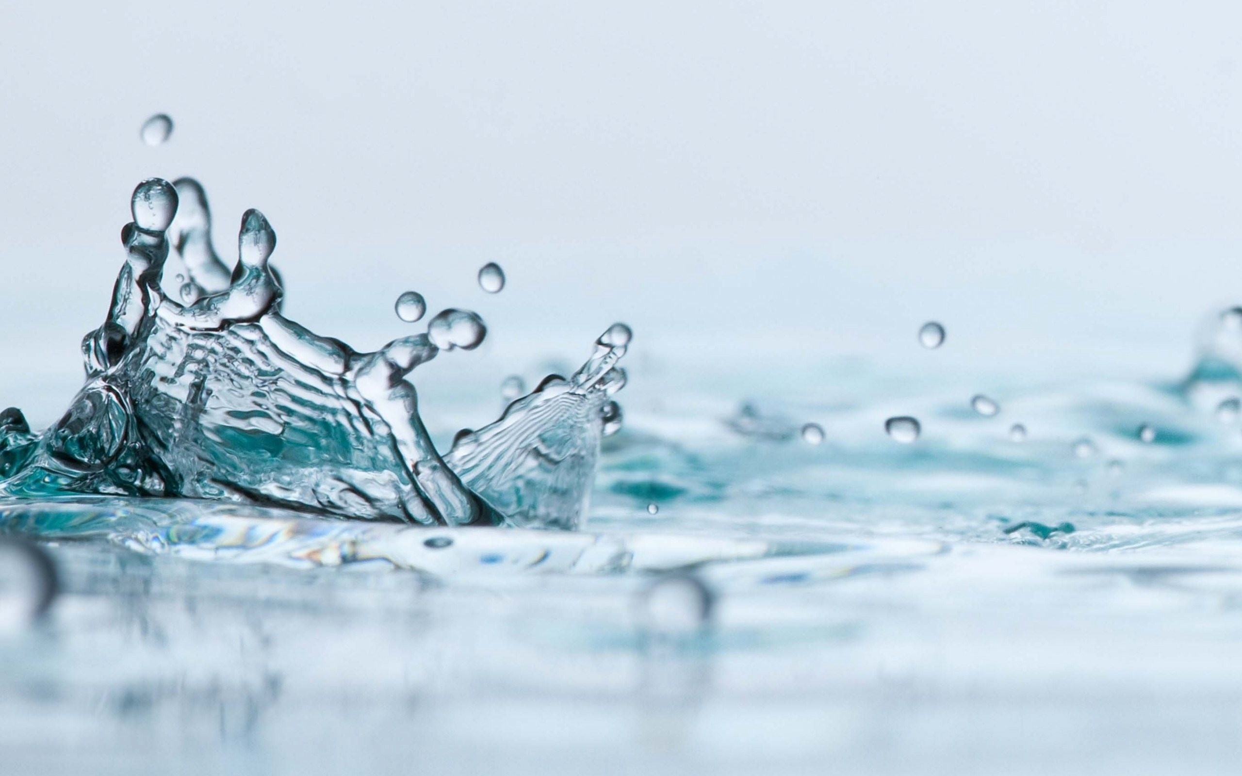 Spruzzo d'acqua, Gocce, Macro, 2560x1600, sfondo per PC