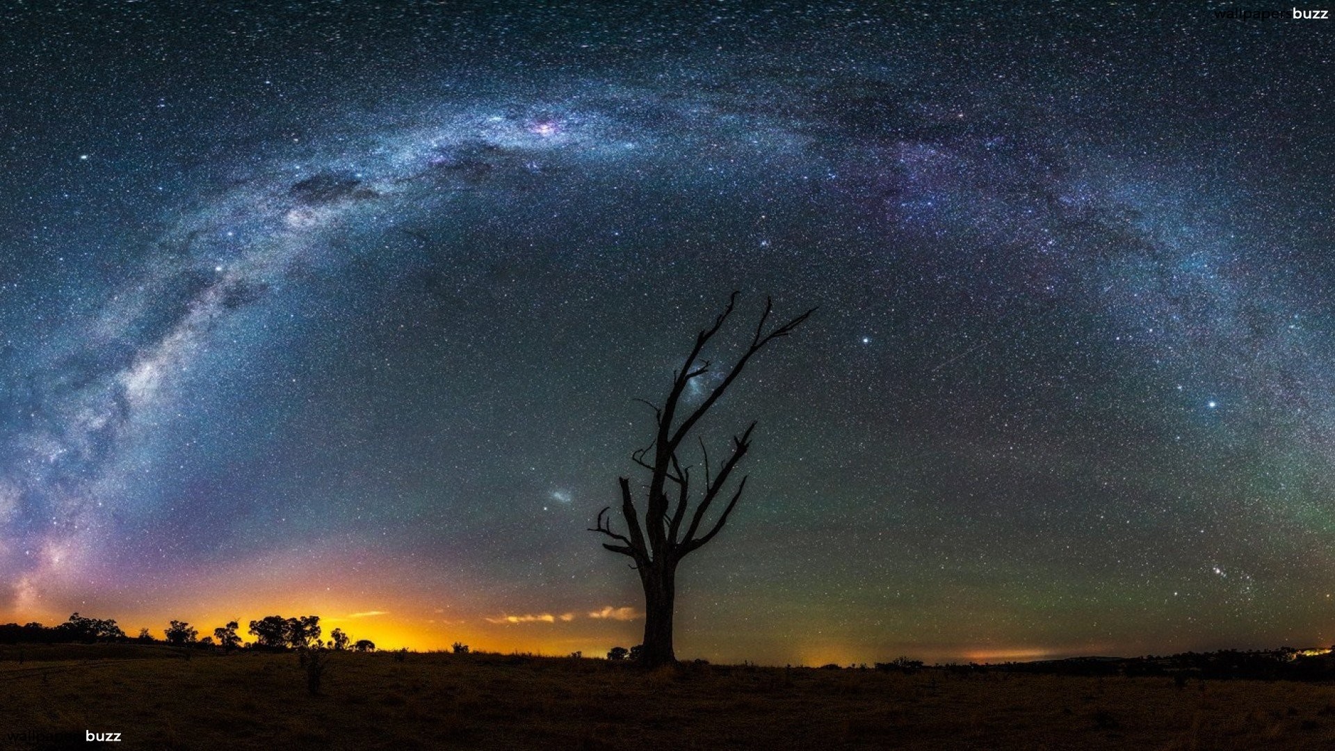 Via Lattea, Arco galattico, Albero secco, Notte, 1920x1080, immagine di sfondo