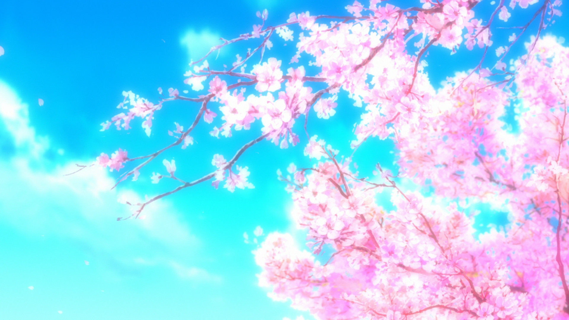 Fiori di ciliegio, Rami, Cielo azzurro, Stile anime, Full HD, wallpaper per computer