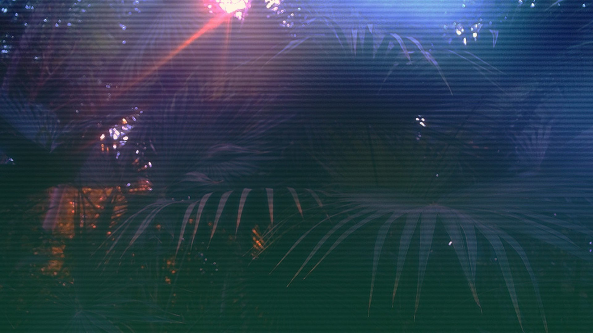 Vaporwave, Foglie di palma, Luce, Blu scuro, Full HD 1080p, sfondo desktop