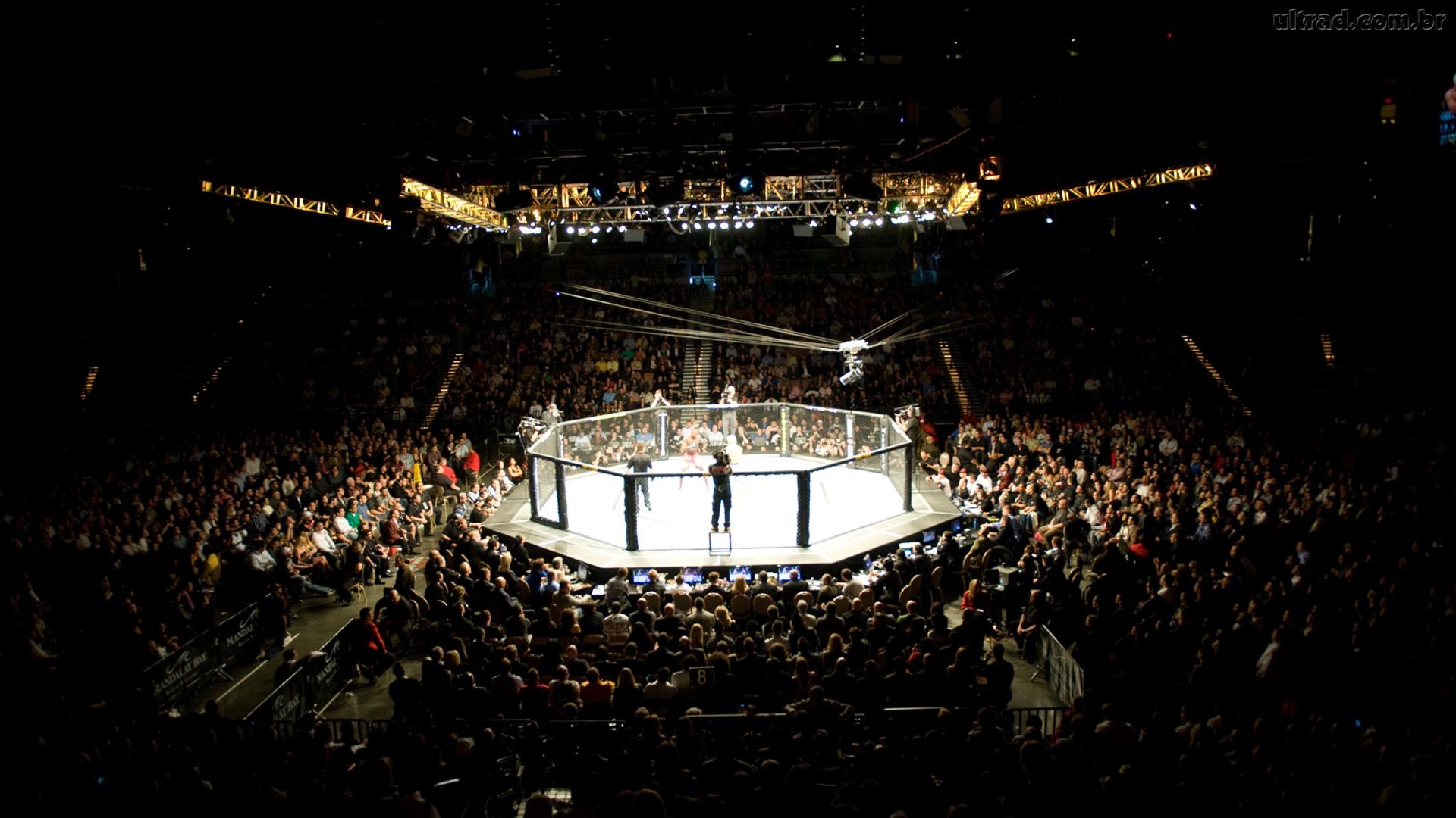 UFC, Arena, Ottagono, Pubblico, 1920x1080, immagine di sfondo