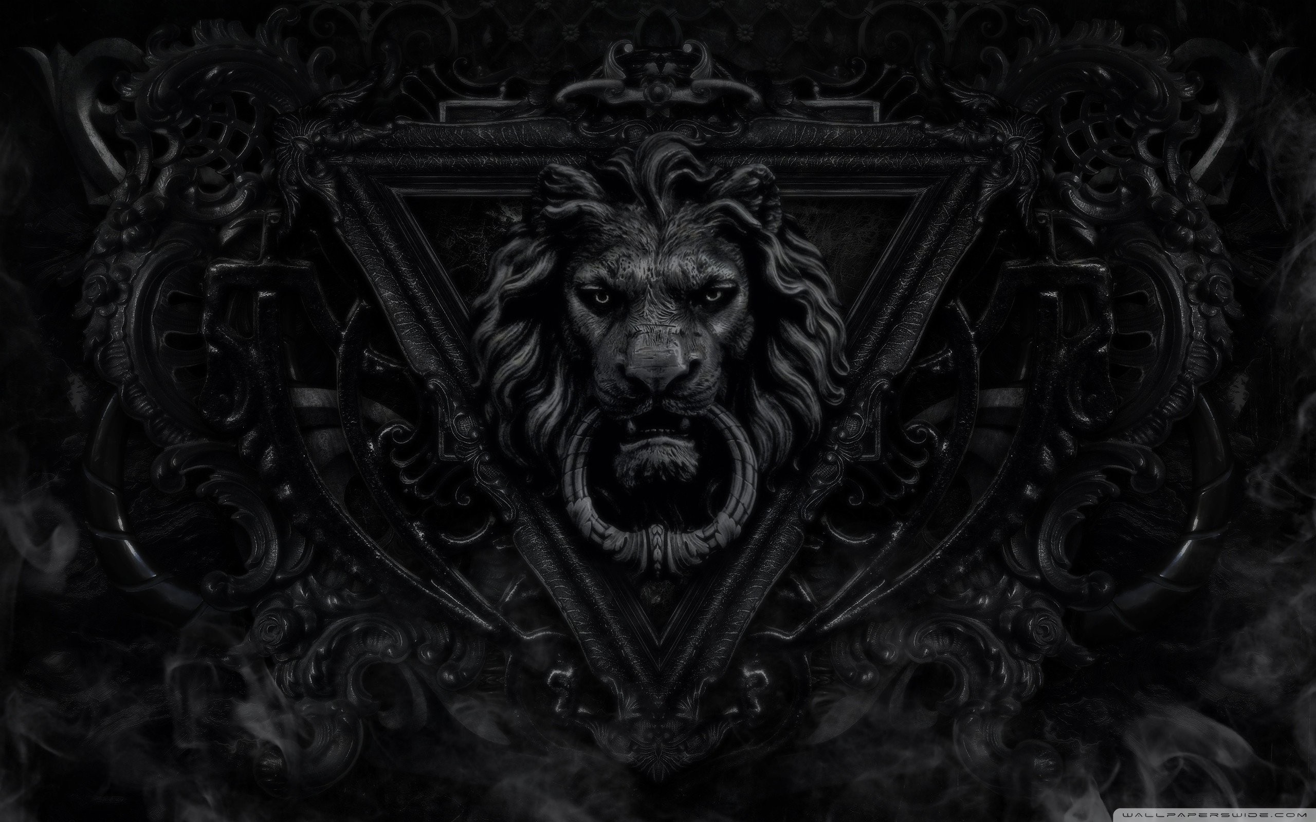 Testa di leone, Battente, Ornamenti, Nero, 2560x1600, immagine di sfondo