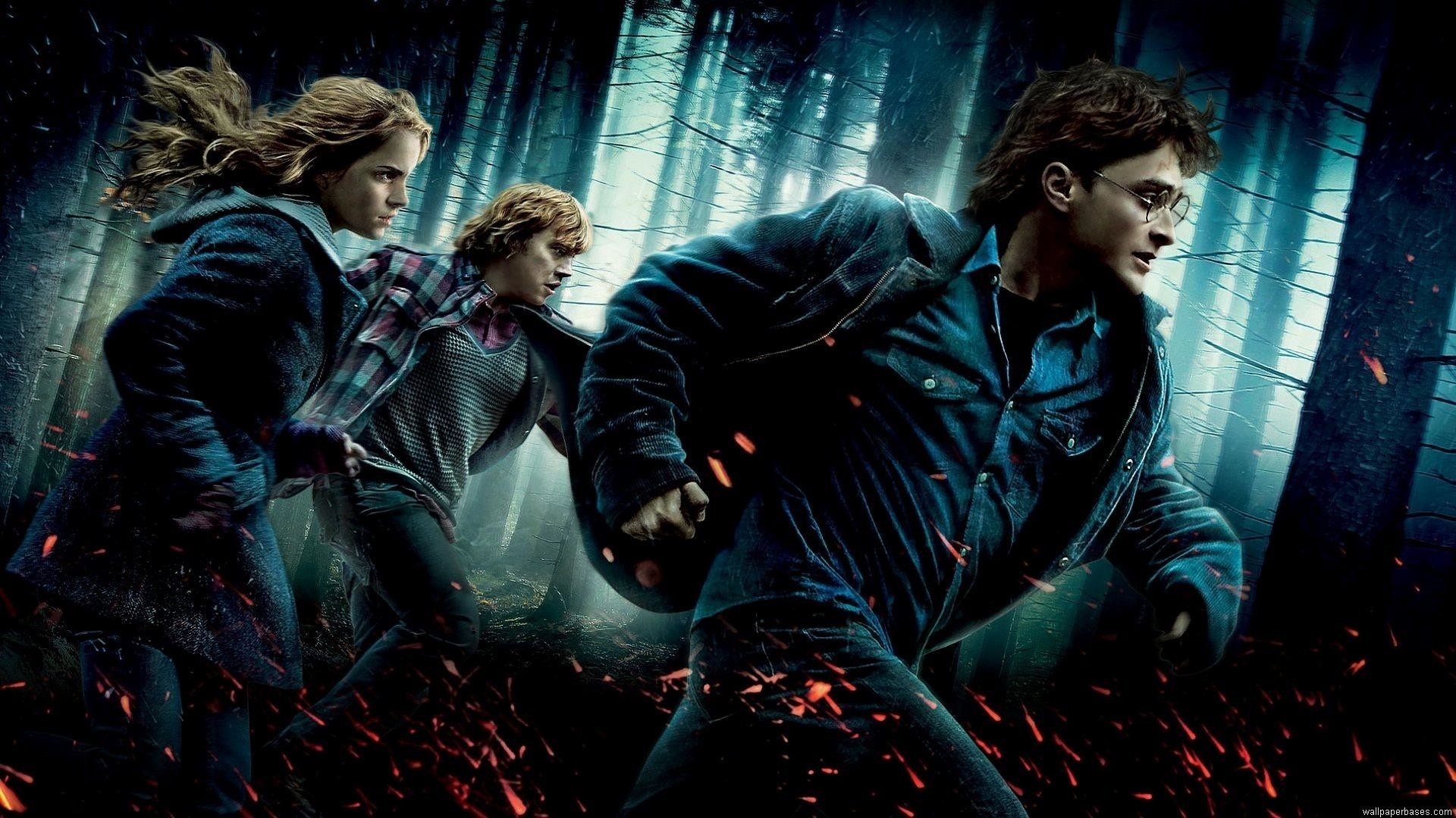 Harry Potter e i Doni della Morte, Harry Potter, Hermione Granger, Ron Weasley, Foresta, sfondo Full HD