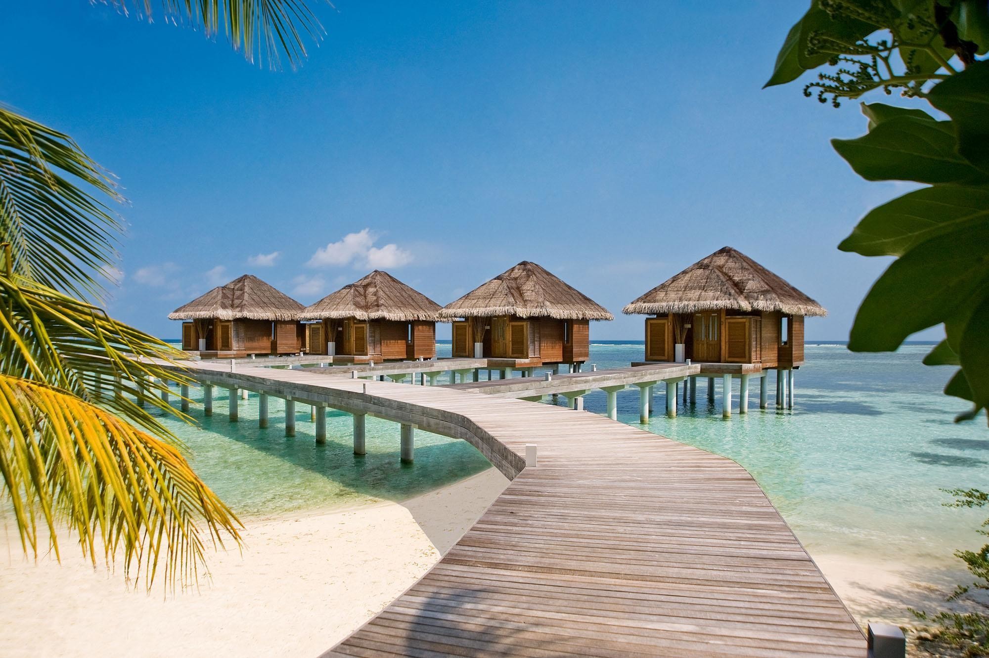 Maldive, Passerella, Bungalow sull'acqua, Palme, Full HD, sfondo Windows 11