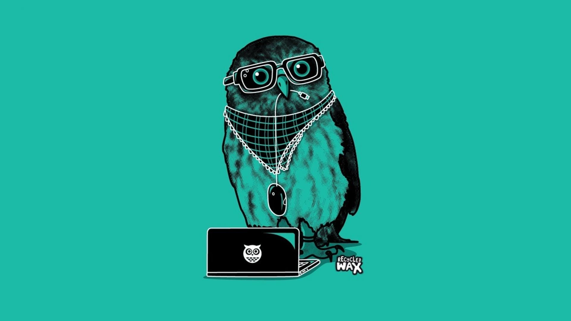 Gufo, Occhiali, Laptop, Sfondo turchese, Illustrazione, Full HD, wallpaper per portatile