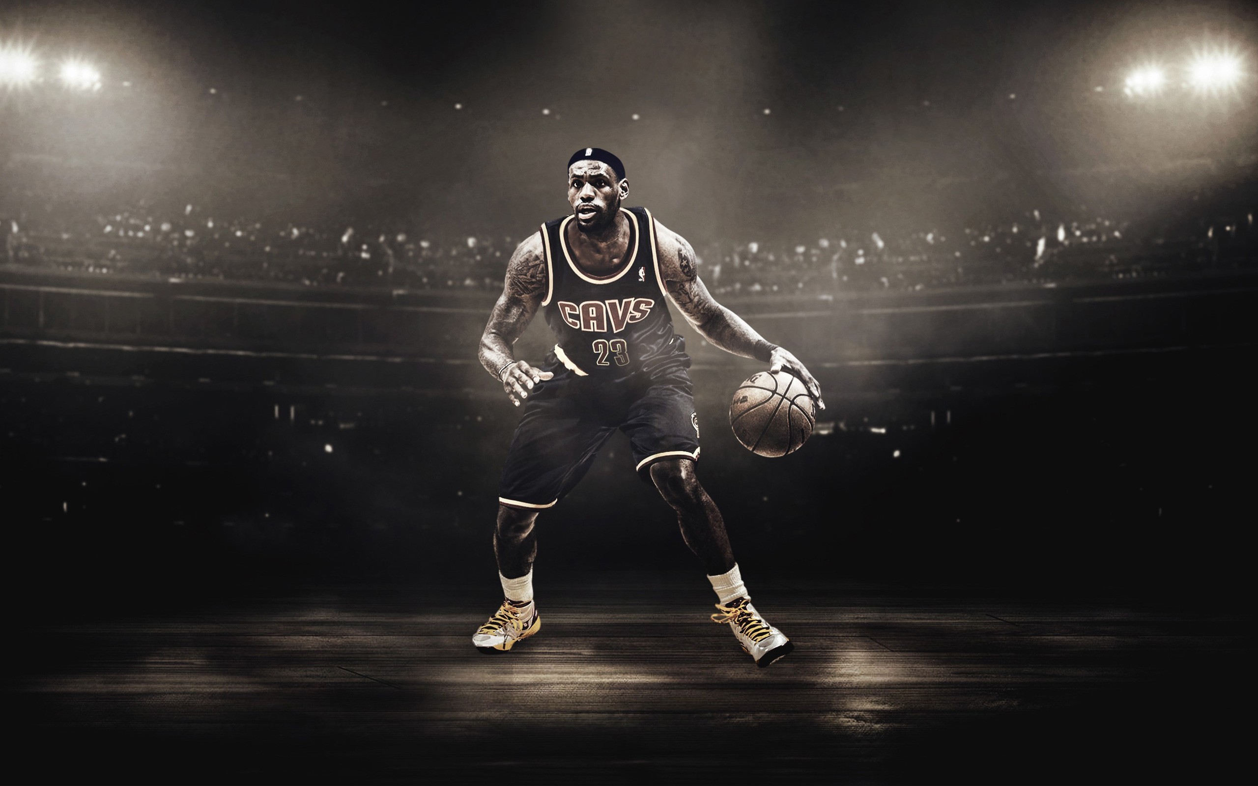 LeBron James, Cleveland Cavaliers, Palleggio, Arena, 2560x1600, wallpaper desktop