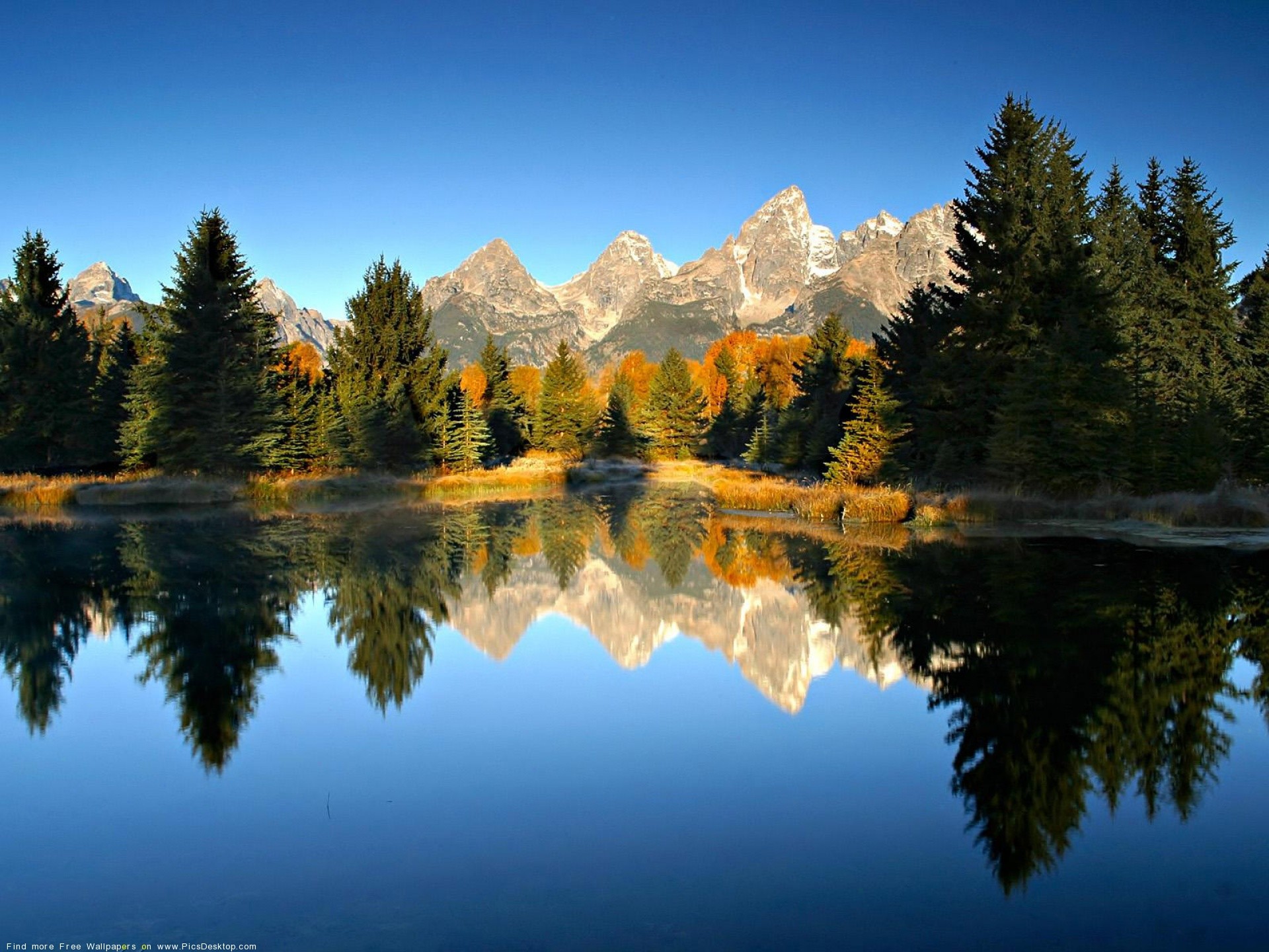 Grand Teton, Schwabacher Landing, Montagne, Lago, Pini, immagine di sfondo PC