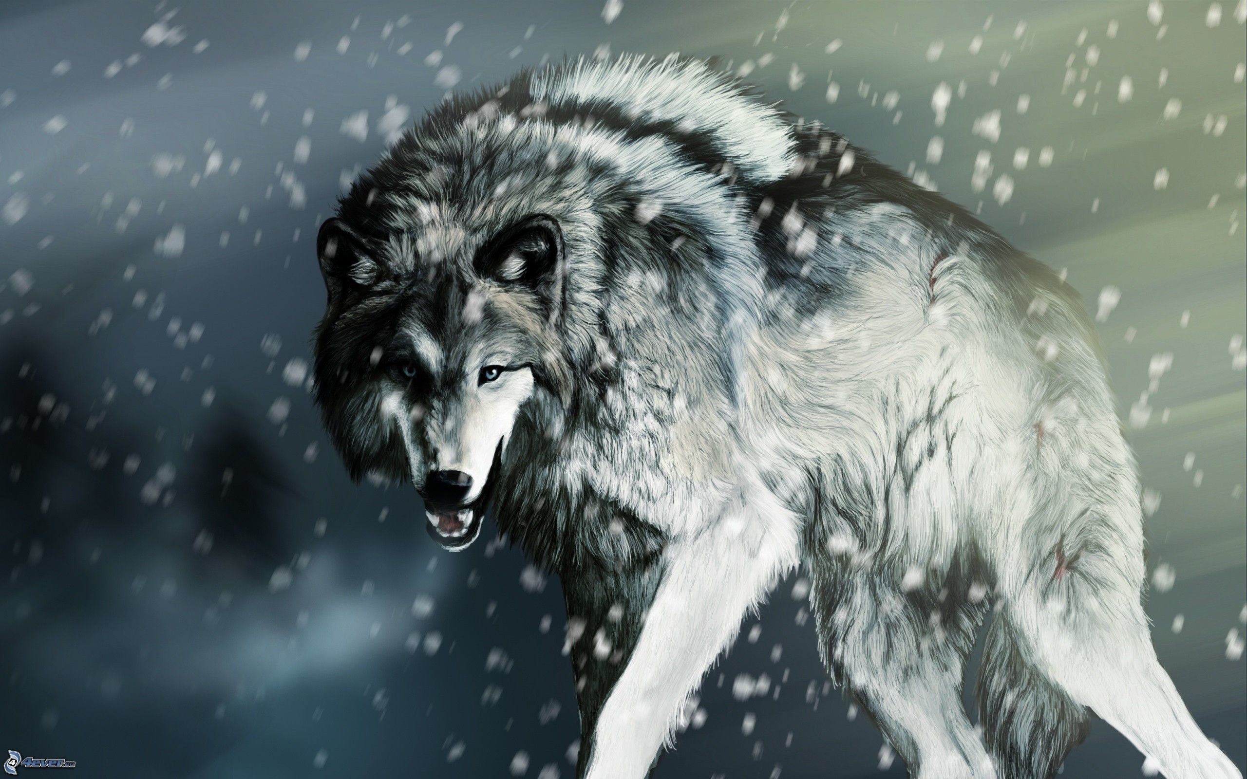 Lupo, Ringhio, Bufera di neve, Arte digitale, 2K, wallpaper per portatile