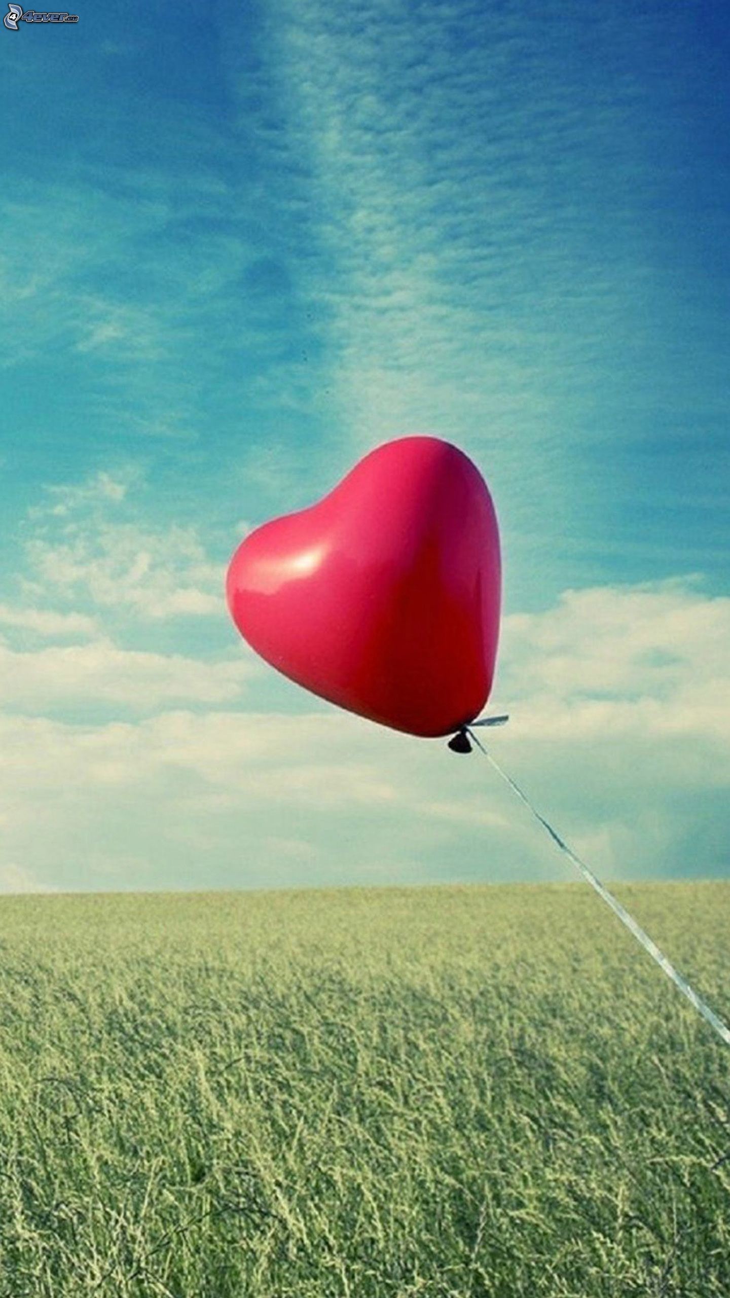 Palloncino a cuore, Prato, Cielo, Amore, QHD+, sfondo verticale per cellulare