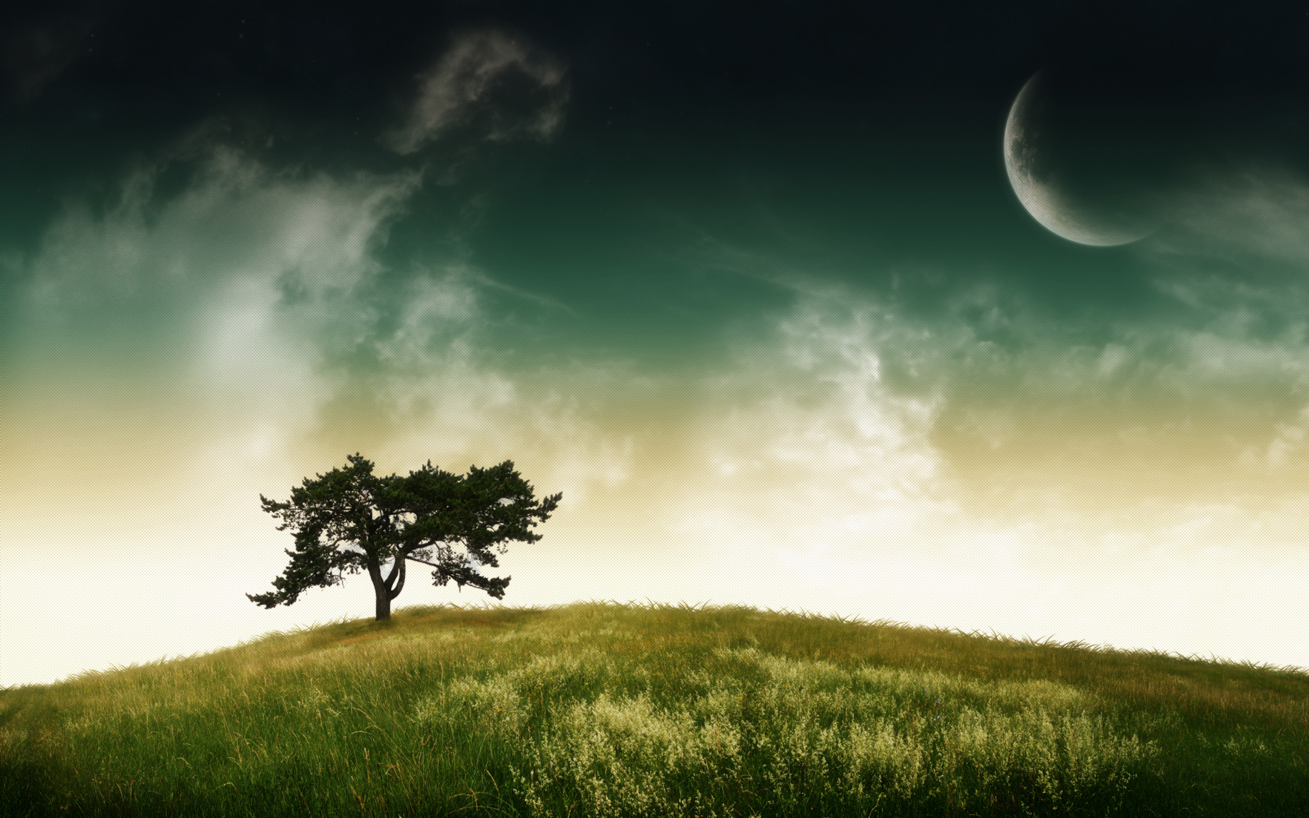Albero solitario, Collina, Luna, Cielo verde, 2560x1600, sfondo MacBook Pro