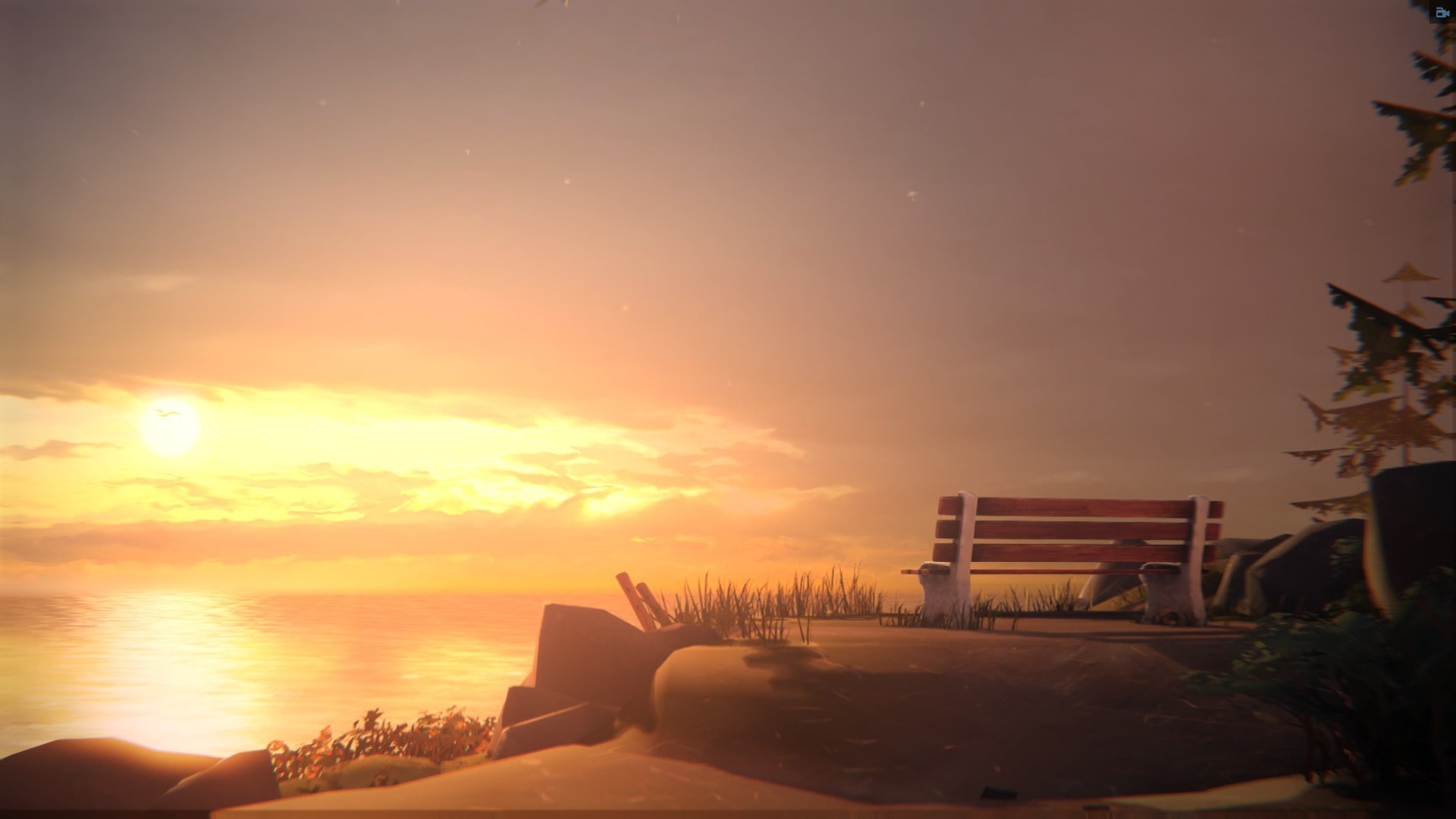 Life is Strange, Panchina, Tramonto, Mare, Full HD 1080p, sfondo desktop