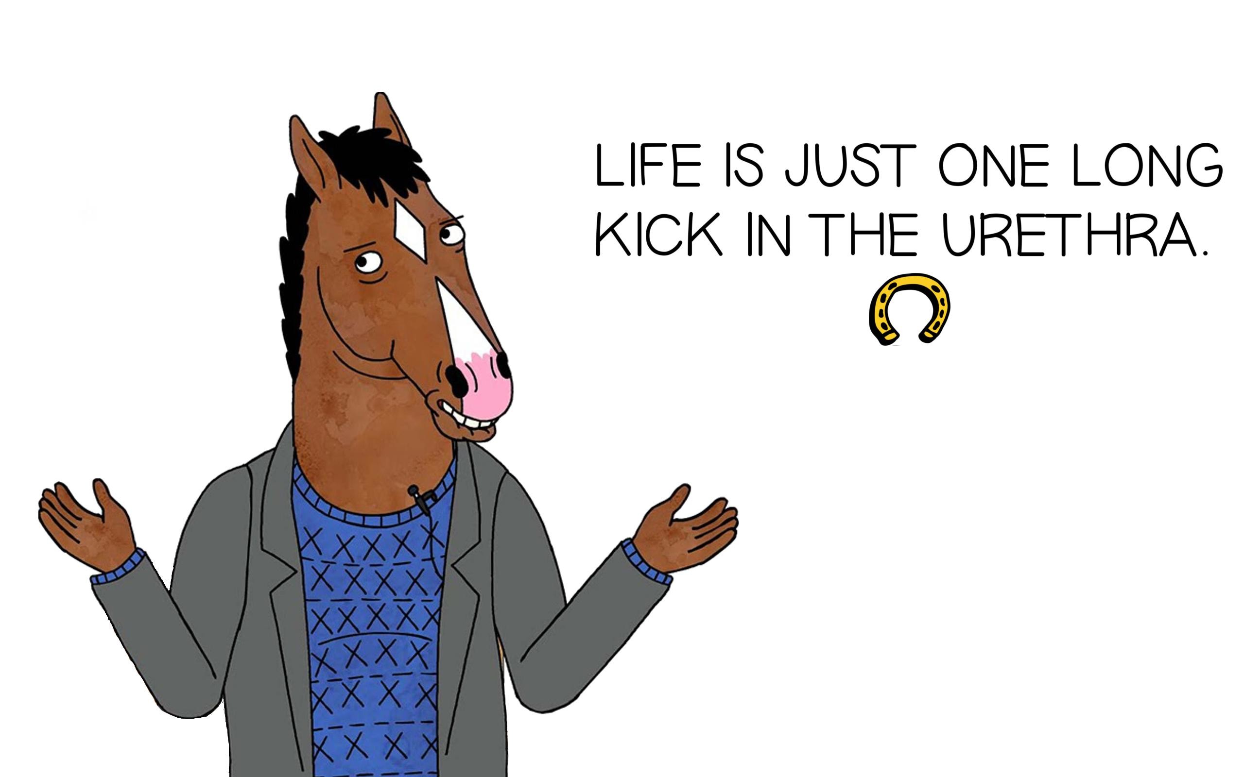 BoJack Horseman, Citazione, Sfondo bianco, Ferro di cavallo, 16:10 2K, wallpaper widescreen