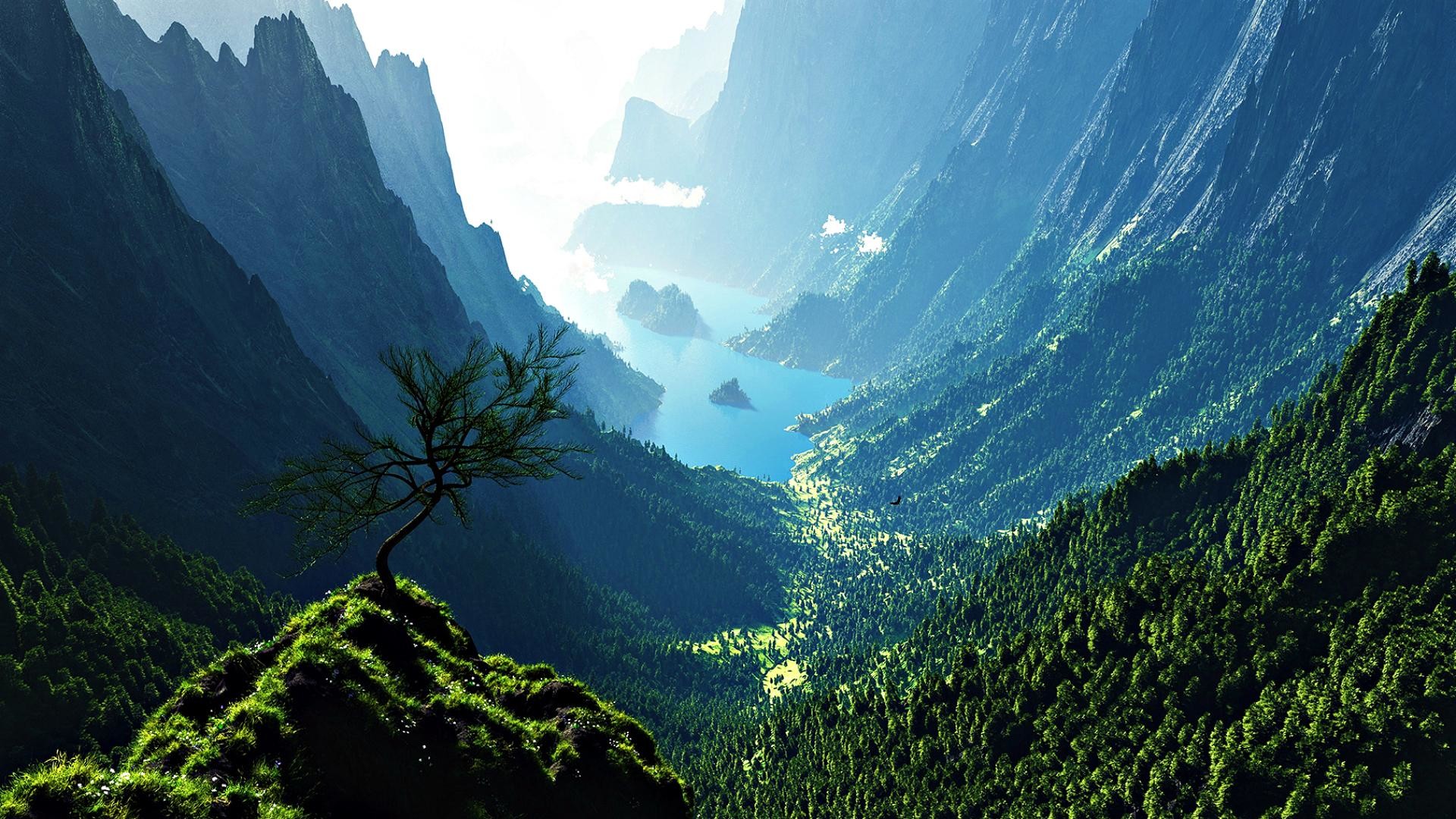 Valle, Montagne, Fiordo, Albero, Paesaggio, 16:9 Full HD, sfondo widescreen