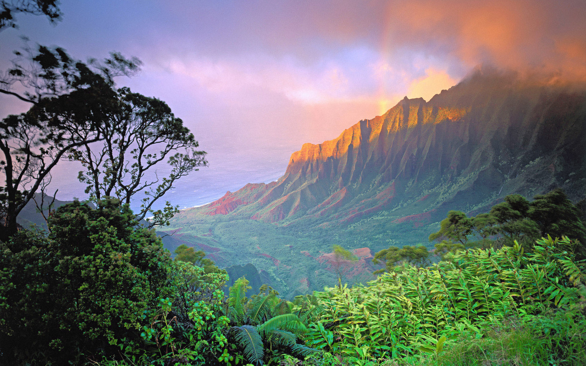 Kalalau, Hawaii, Montagne, Foresta tropicale, Tramonto, immagine di sfondo Windows