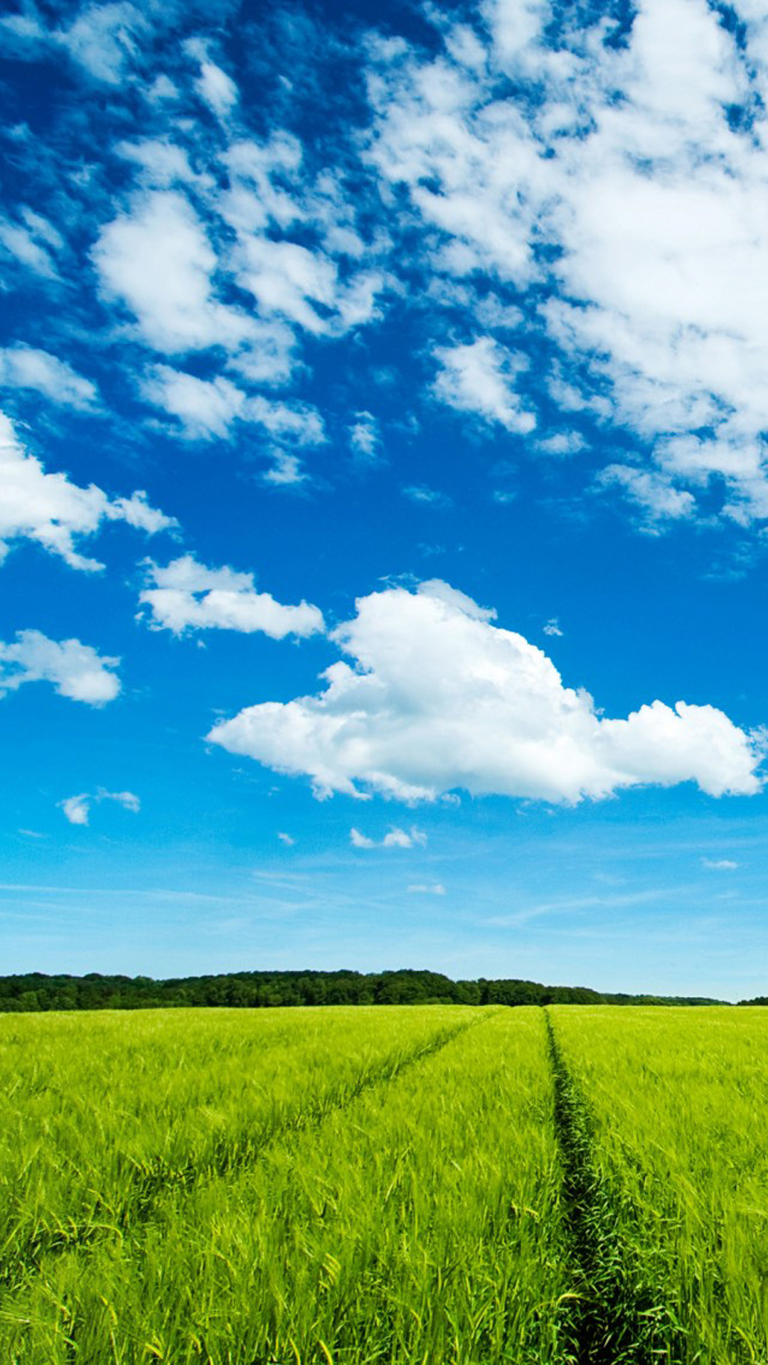 Cielo blu, Nuvole, Campo di grano, Estate, Full HD, sfondo verticale per cellulare