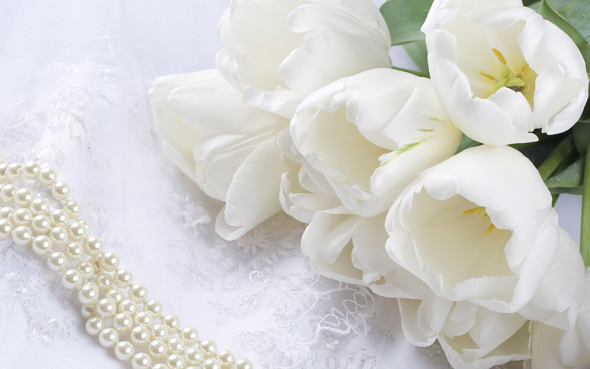 Tulipani bianchi, Perle, Pizzo, Bianco, 1920x1200, immagine di sfondo