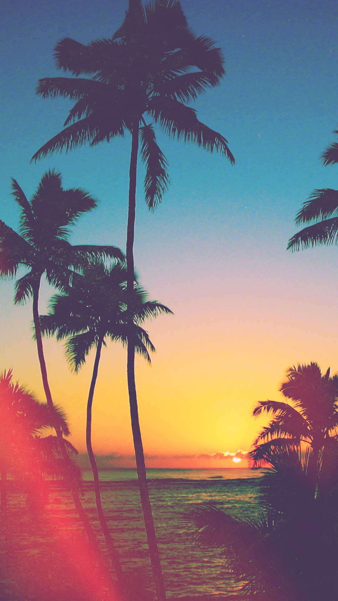 Palme, Tramonto, Spiaggia, Estate, Full HD, schermata di blocco del cellulare