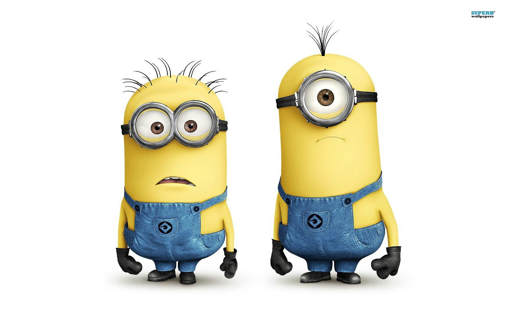 Minion, Coppia, Sfondo bianco, Full HD, wallpaper desktop