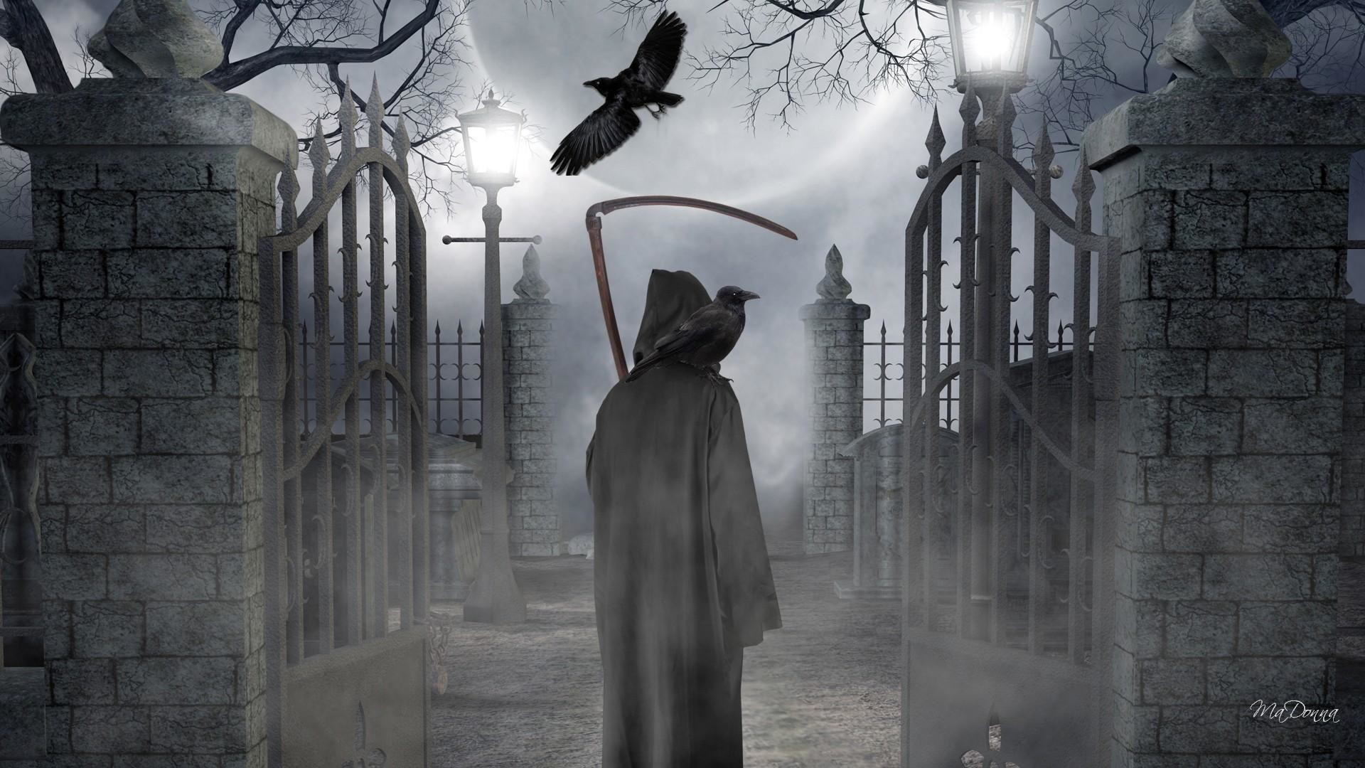 Mietitore, Cancello, Corvo, Cimitero, Nebbia, Full HD 1080p, sfondo desktop