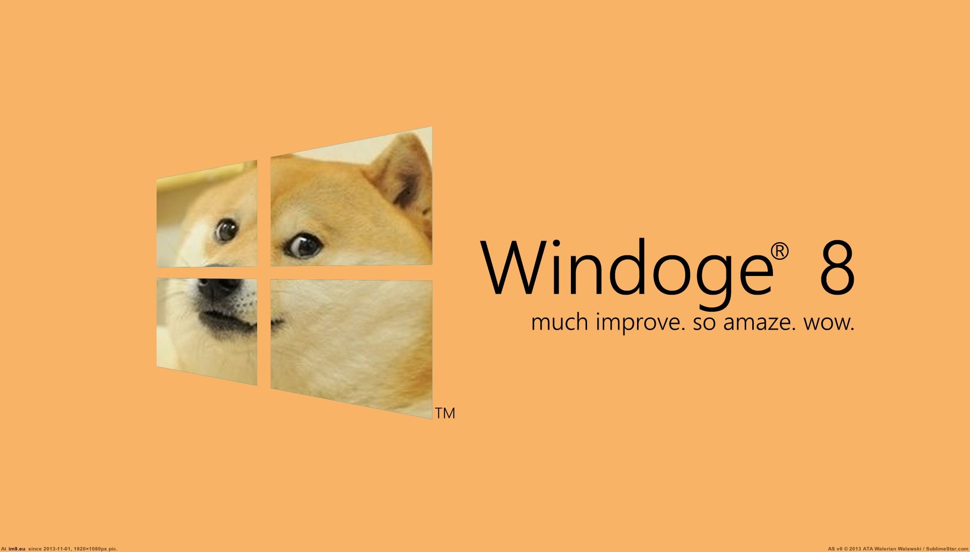 Windoge 8, Doge, Windows 8, Arancione, Full HD, sfondo per PC