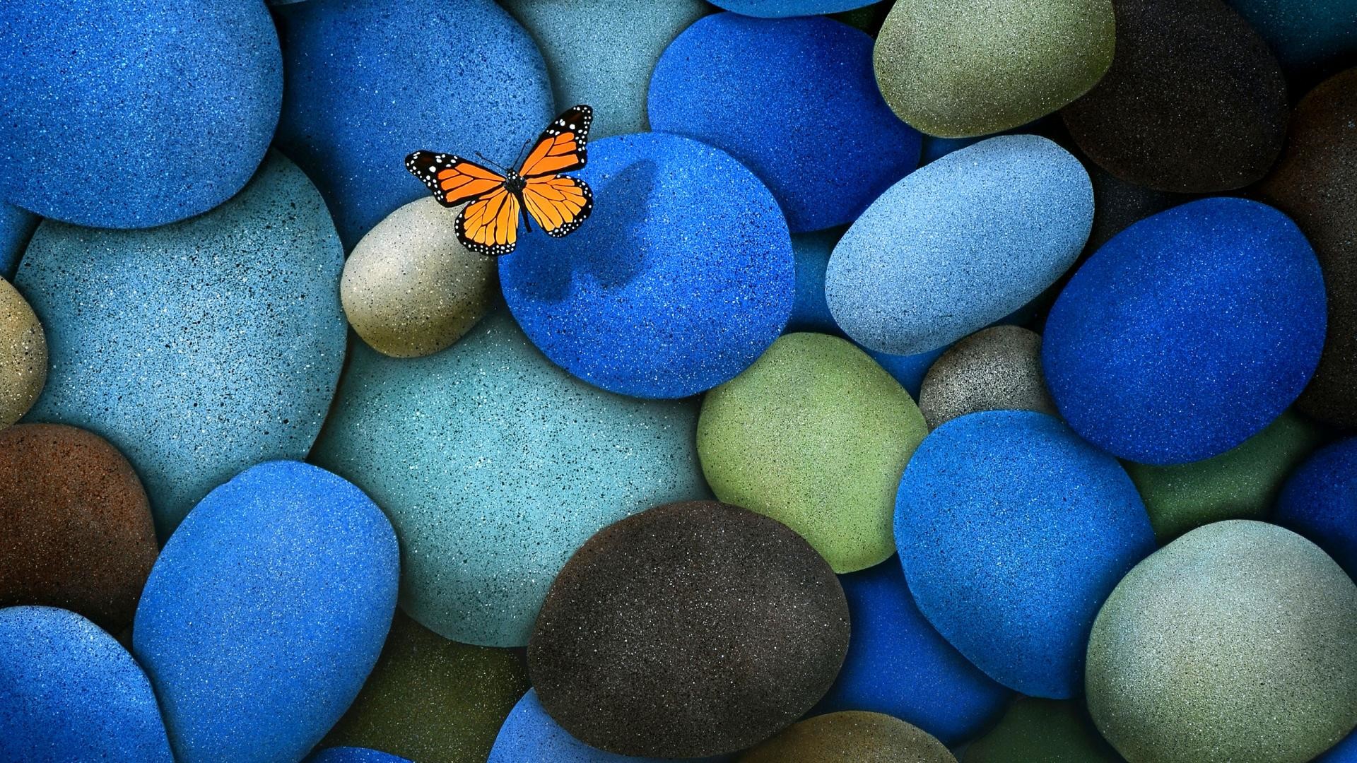Ciottoli, Farfalla, Pietre blu, 1920x1080, sfondo per PC