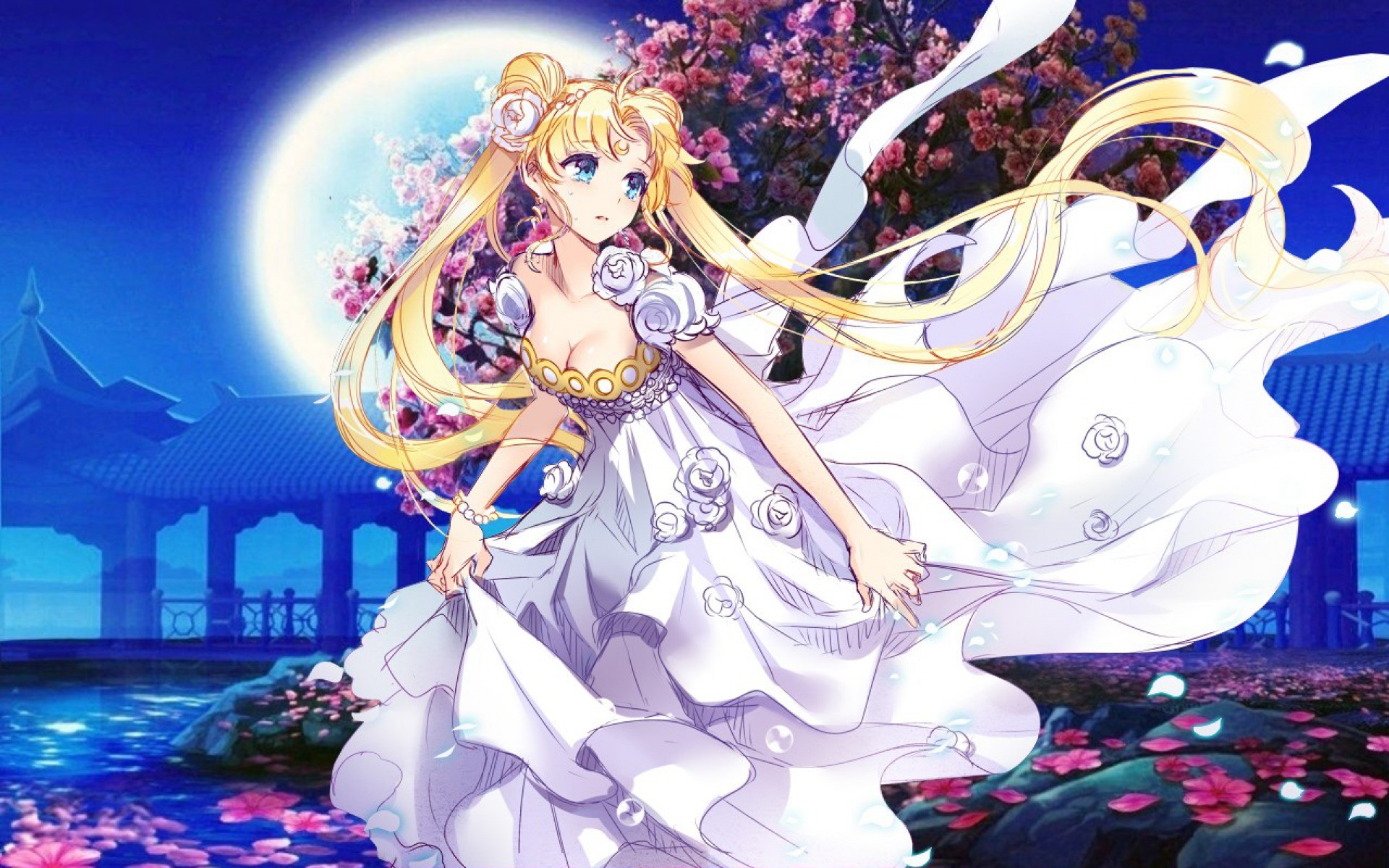 Principessa Serenity, Sailor Moon Crystal, Luna piena, Notte, 16:10 Full HD, sfondo widescreen