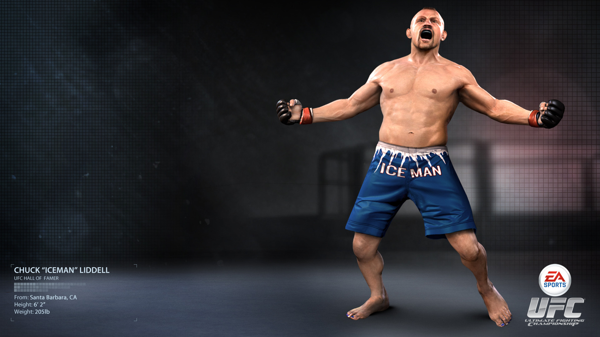 Chuck Liddell, Iceman, EA Sports UFC, Esultanza, Full HD, sfondo per PC