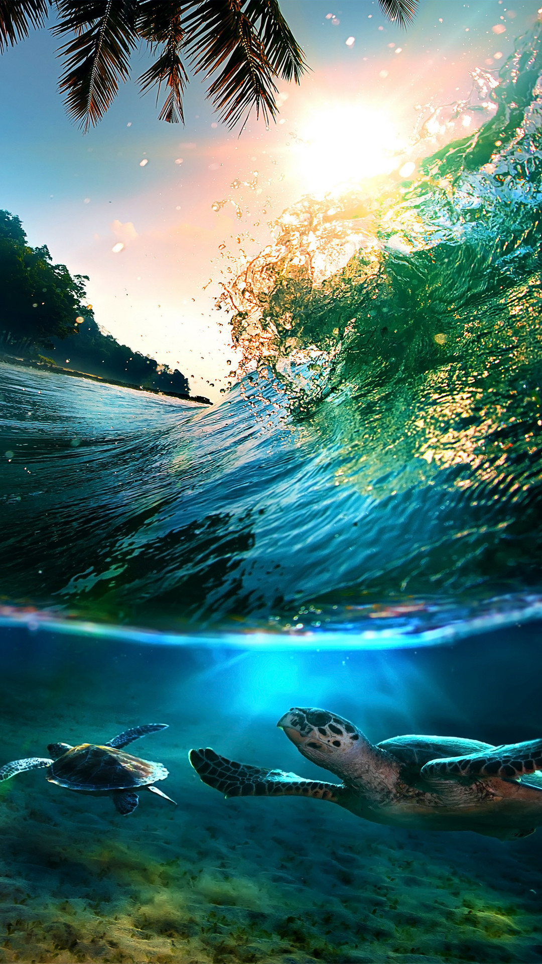 Tartarughe marine, Onda, Sott'acqua, Tropicale, Sole, sfondo per iPhone
