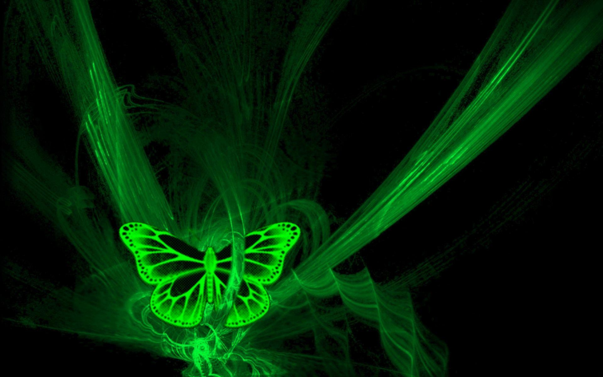 Farfalla, Verde, Fasci luminosi, 1920x1200, immagine di sfondo