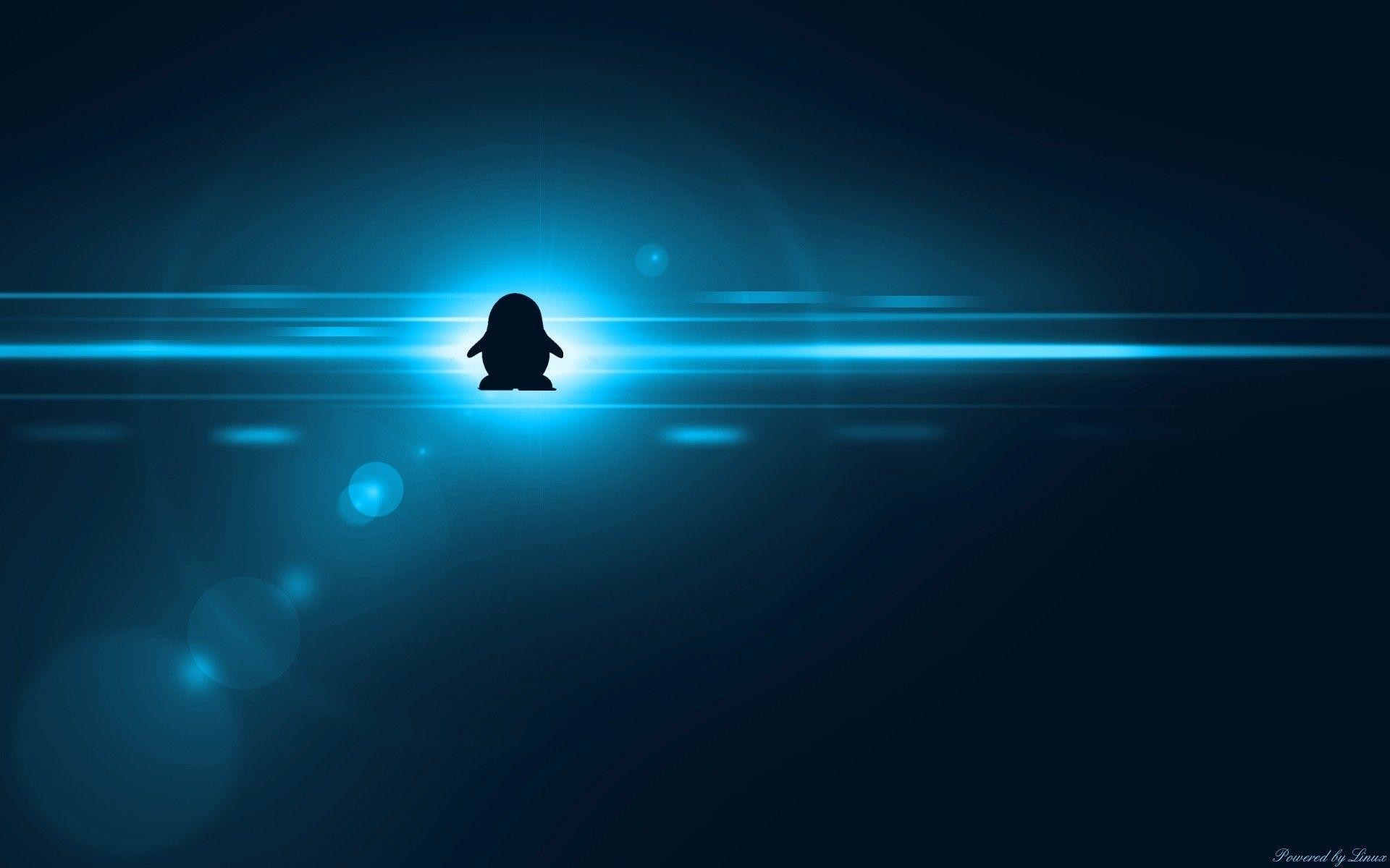 Tux, Linux, Bagliore blu, Silhouette, 1920x1200, immagine di sfondo