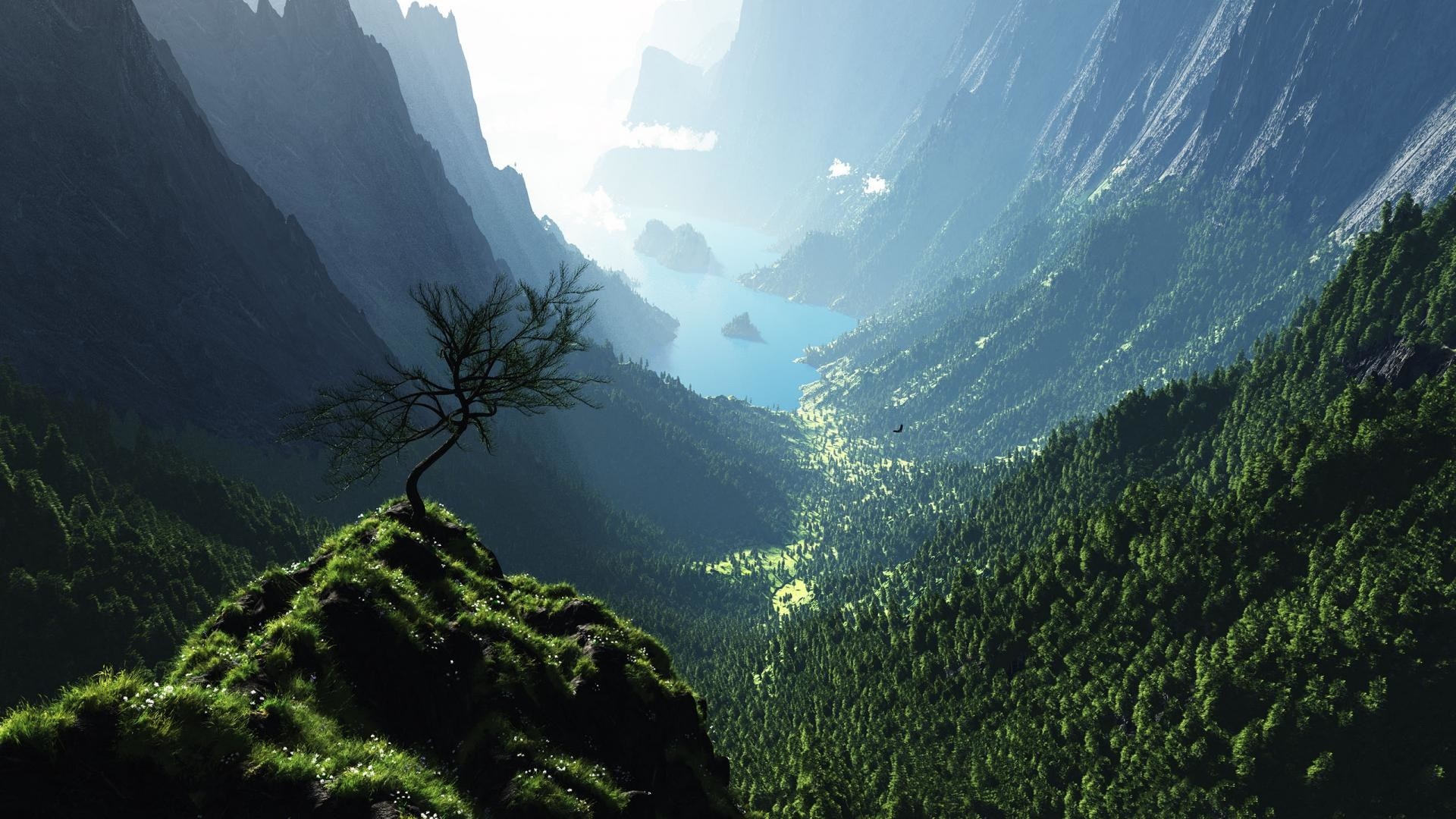 Valle profonda, Albero solitario, Foresta, Nebbia, Paesaggio fantasy, sfondo Full HD per PC