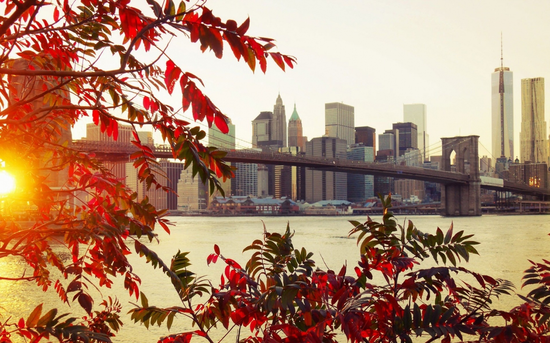 Ponte di Brooklyn, One World Trade Center, Lower Manhattan, New York, Foglie autunnali, sfondo desktop